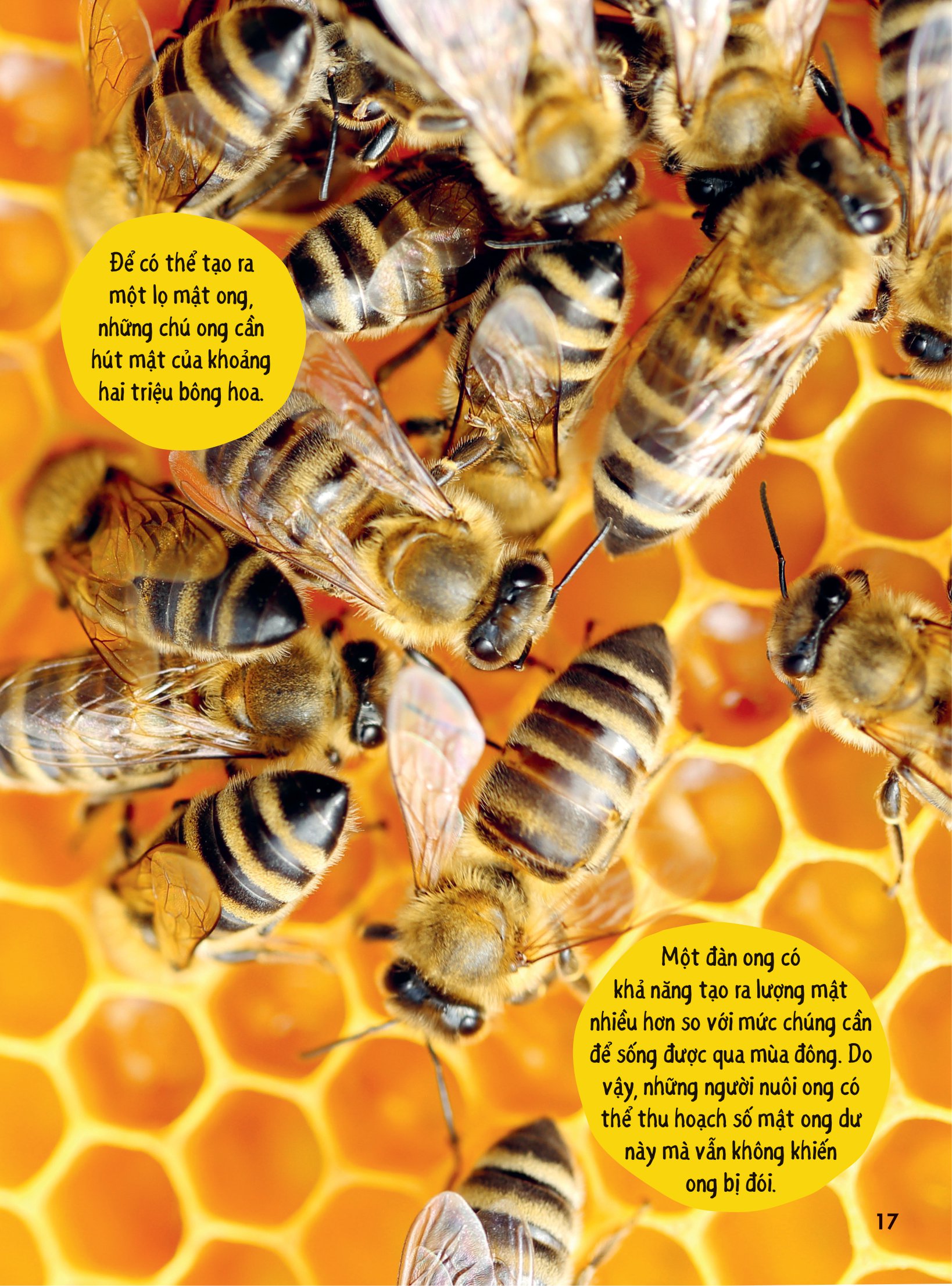 bách khoa thư britannica dành cho trẻ em - cuốn sách khổng lồ giải đáp 100++ câu hỏi tại sao hóc búa - Ảnh 14