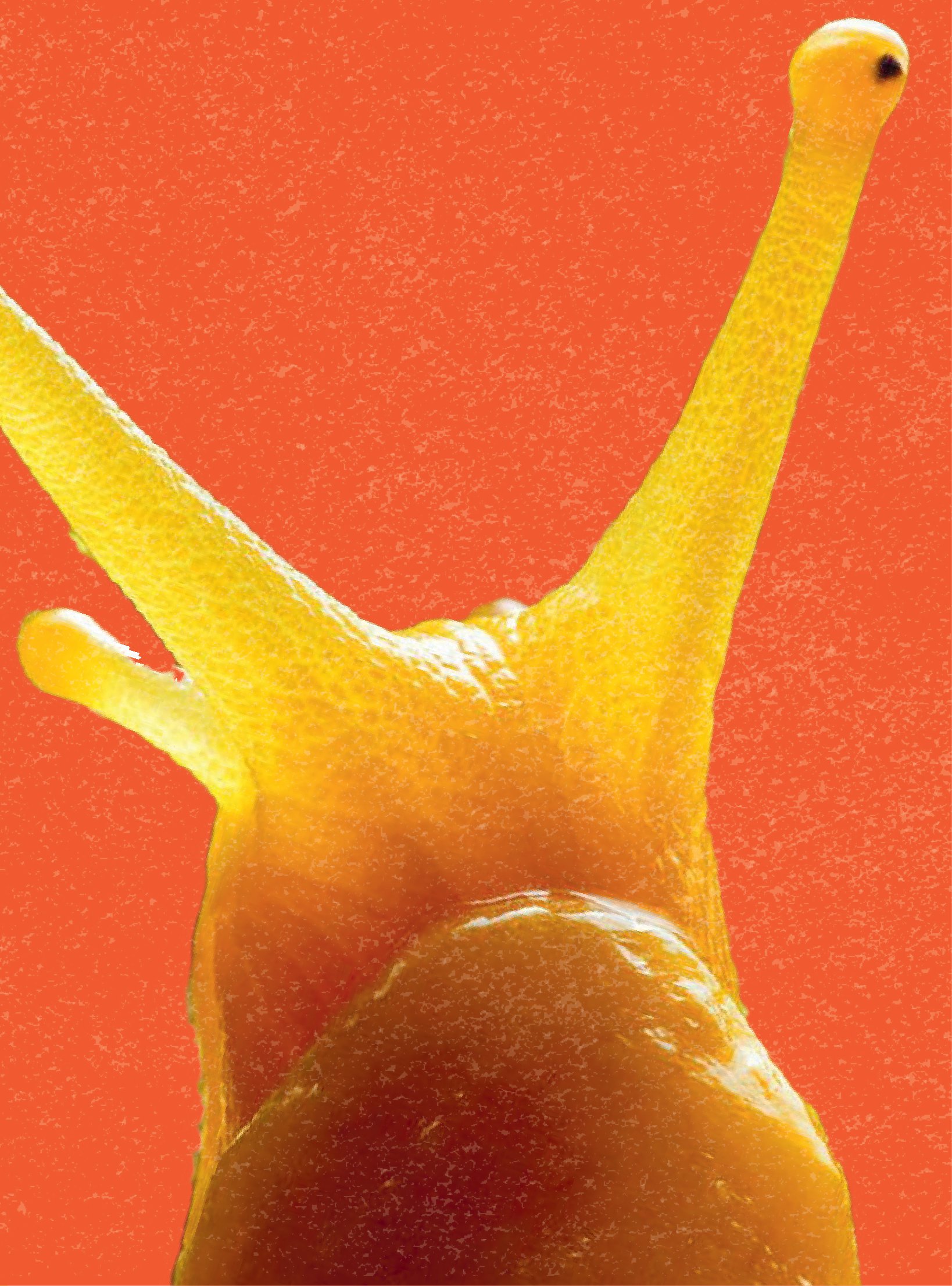 bách khoa thư britannica dành cho trẻ em - cuốn sách khổng lồ giải đáp 100++ câu hỏi tại sao hóc búa - Ảnh 4