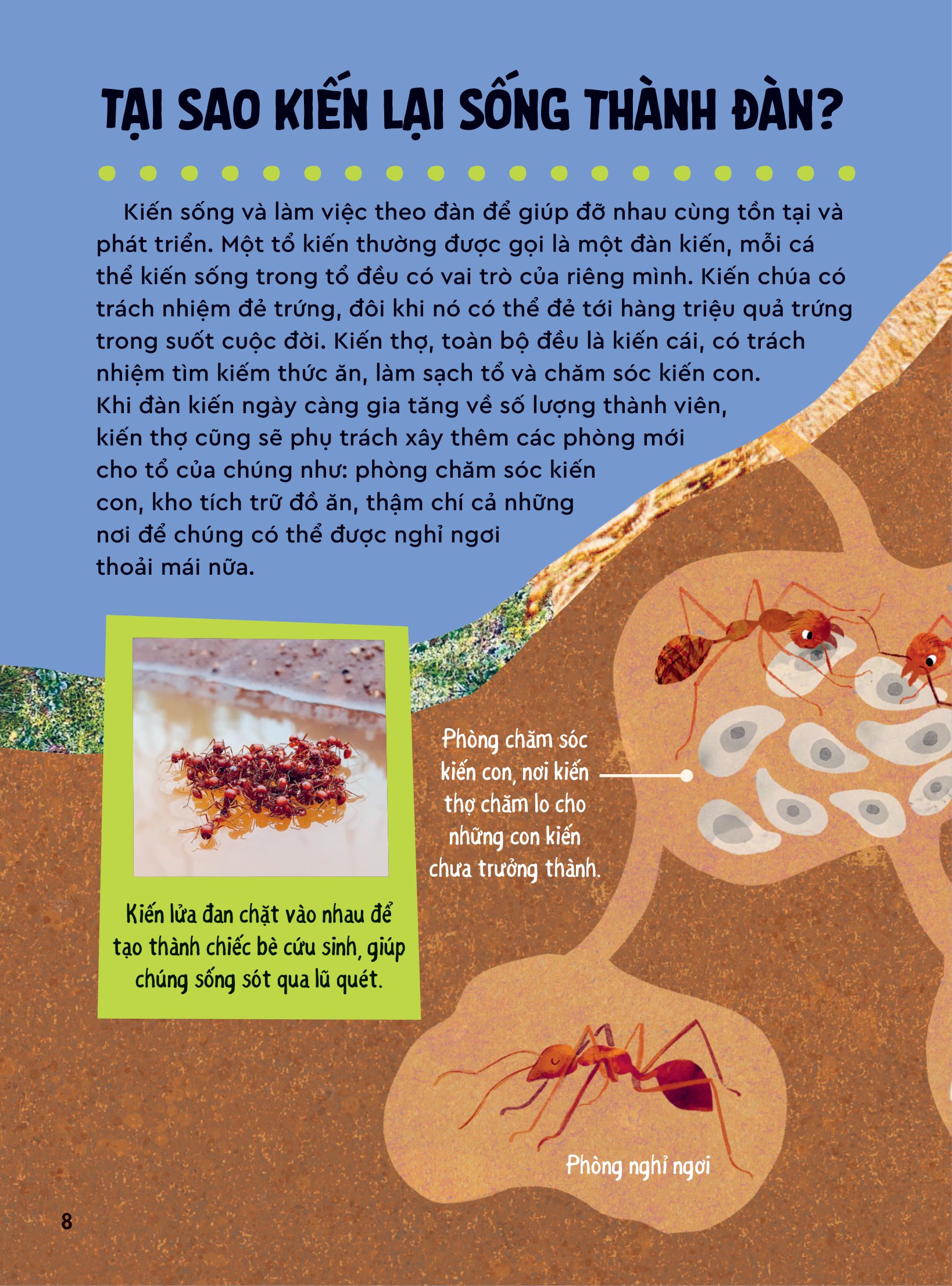 bách khoa thư britannica dành cho trẻ em - cuốn sách khổng lồ giải đáp 100++ câu hỏi tại sao hóc búa - Ảnh 5