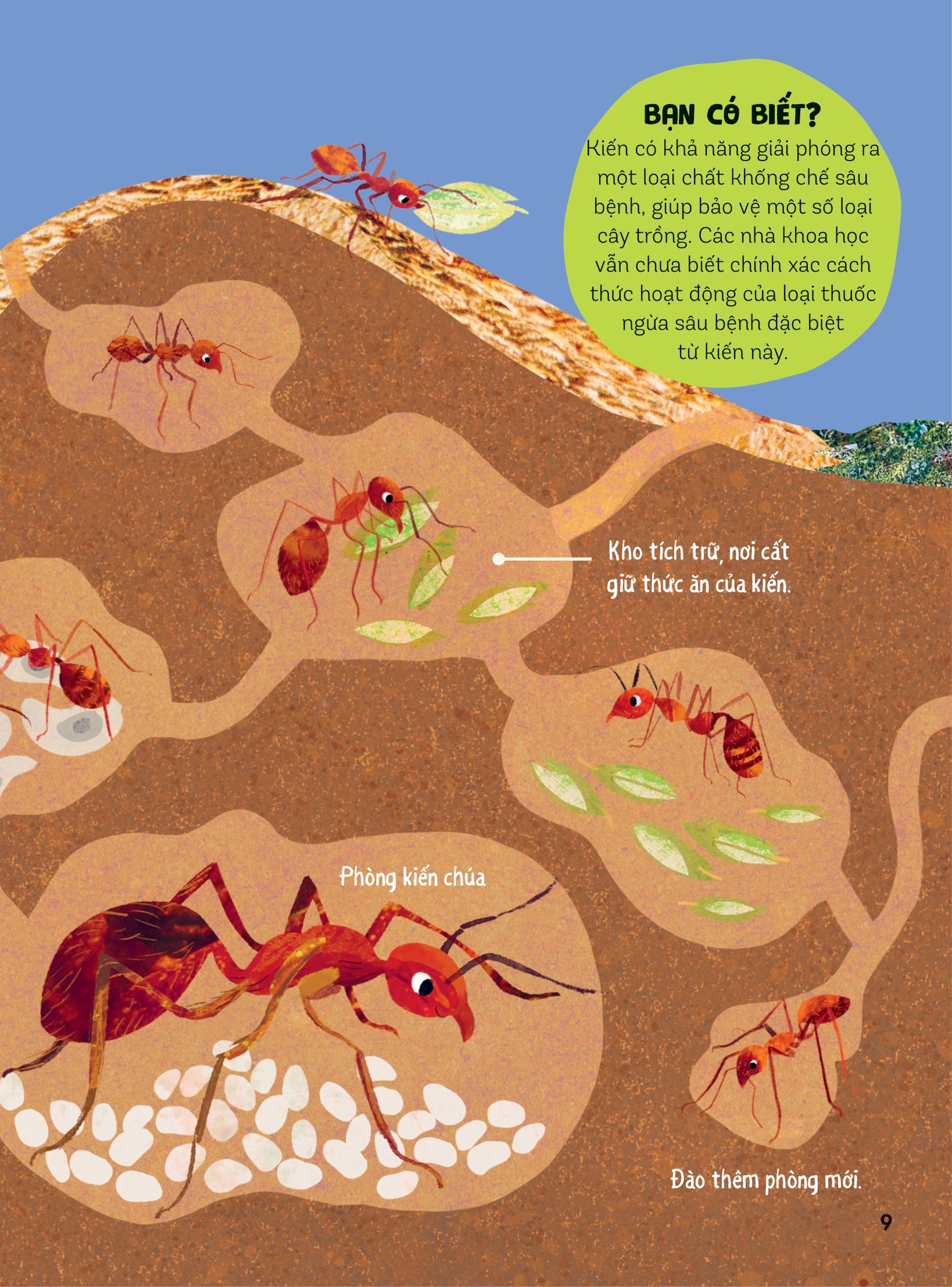 bách khoa thư britannica dành cho trẻ em - cuốn sách khổng lồ giải đáp 100++ câu hỏi tại sao hóc búa - Ảnh 6