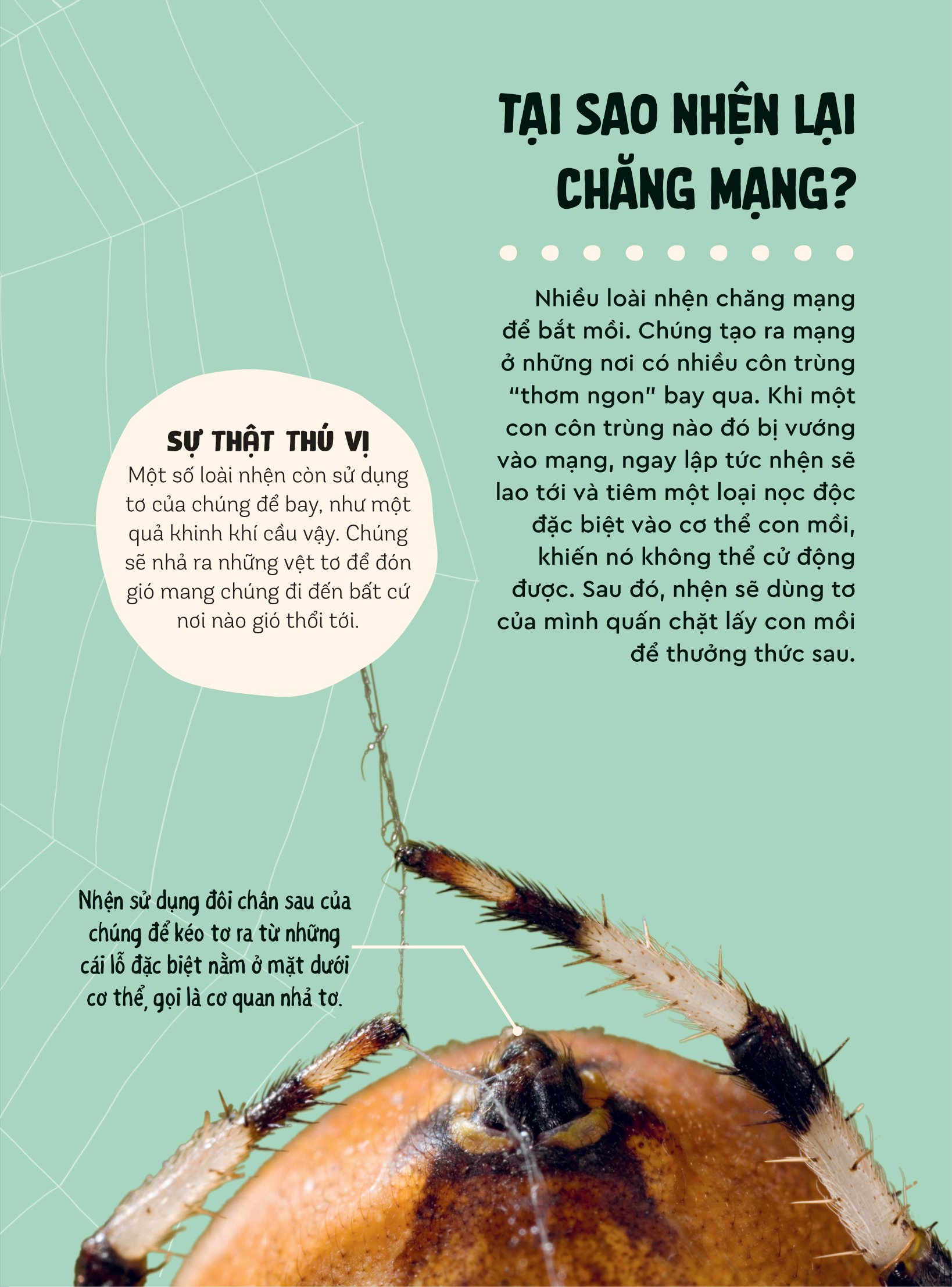 bách khoa thư britannica dành cho trẻ em - cuốn sách khổng lồ giải đáp 100++ câu hỏi tại sao hóc búa - Ảnh 8