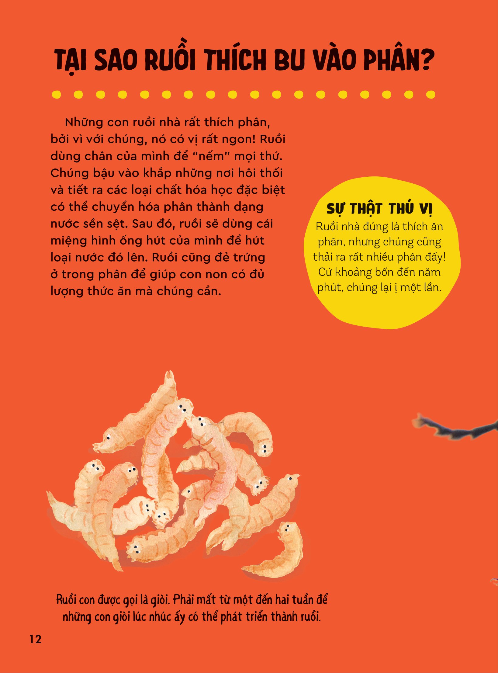 bách khoa thư britannica dành cho trẻ em - cuốn sách khổng lồ giải đáp 100++ câu hỏi tại sao hóc búa - Ảnh 9