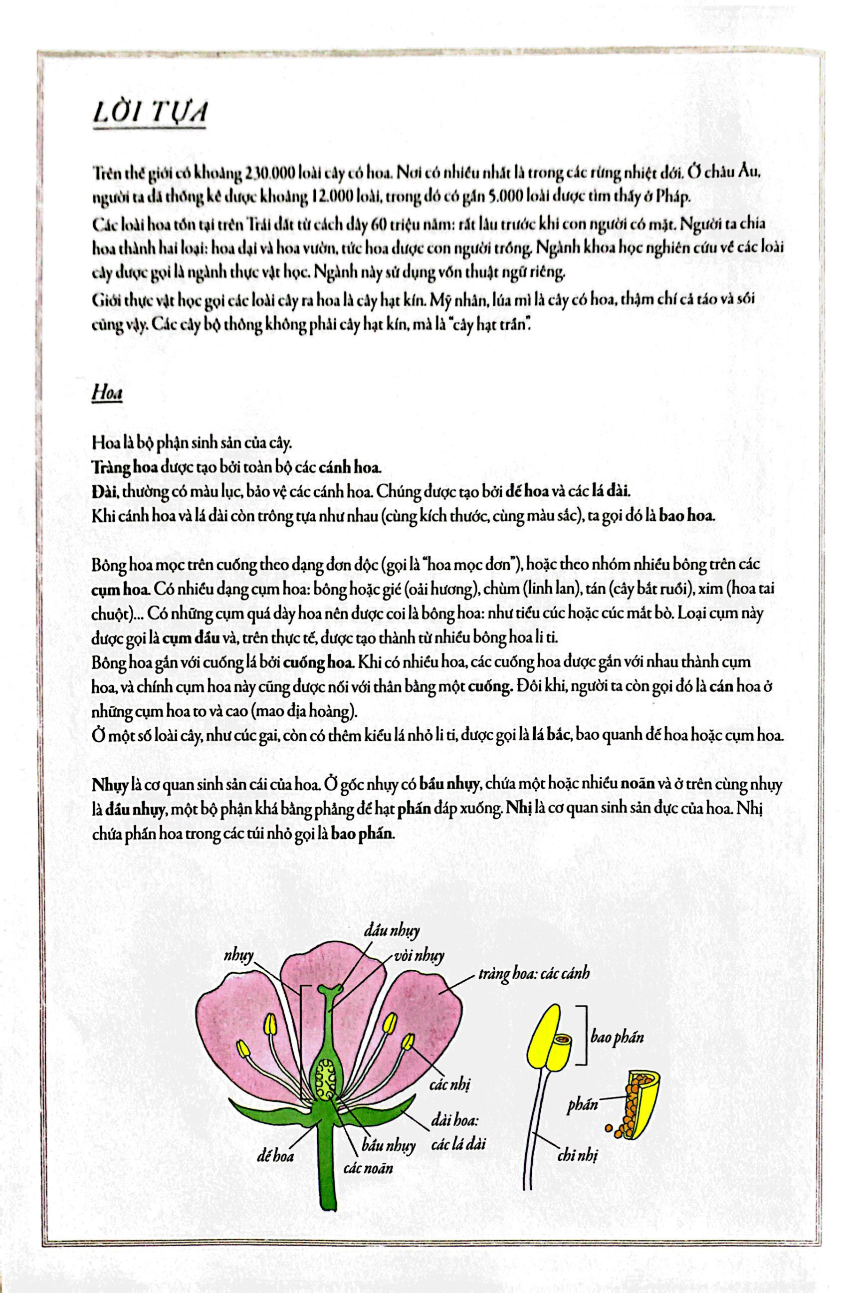 bách khoa thư cho cả nhà - thế giới các loài hoa bằng tranh - Ảnh 3