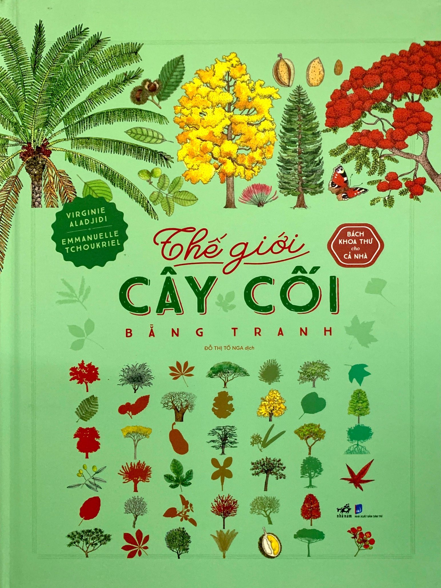 bách khoa thư cho cả nhà - thế giới cây cối bằng tranh - Ảnh 2
