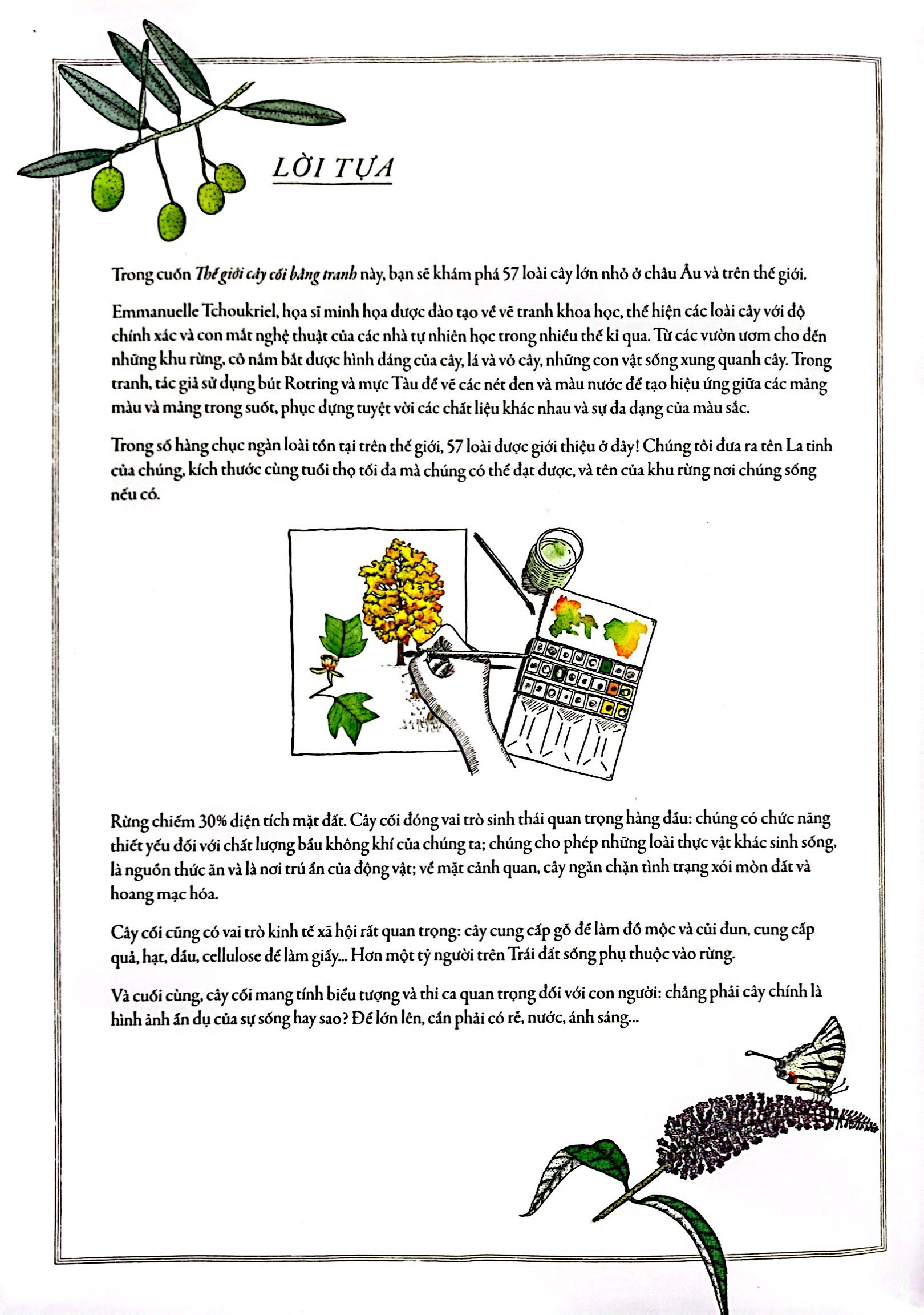 bách khoa thư cho cả nhà - thế giới cây cối bằng tranh - Ảnh 3