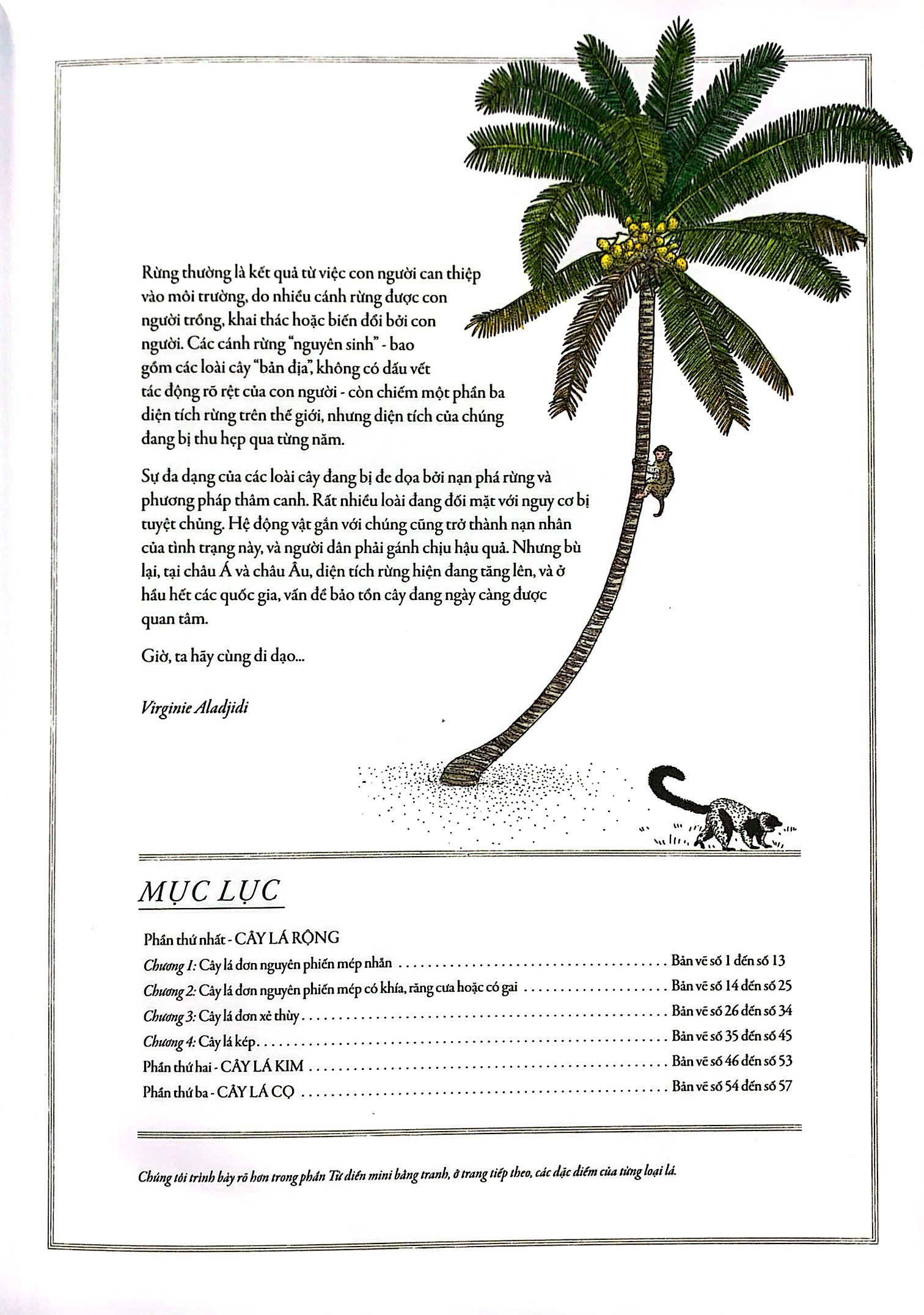 bách khoa thư cho cả nhà - thế giới cây cối bằng tranh - Ảnh 4