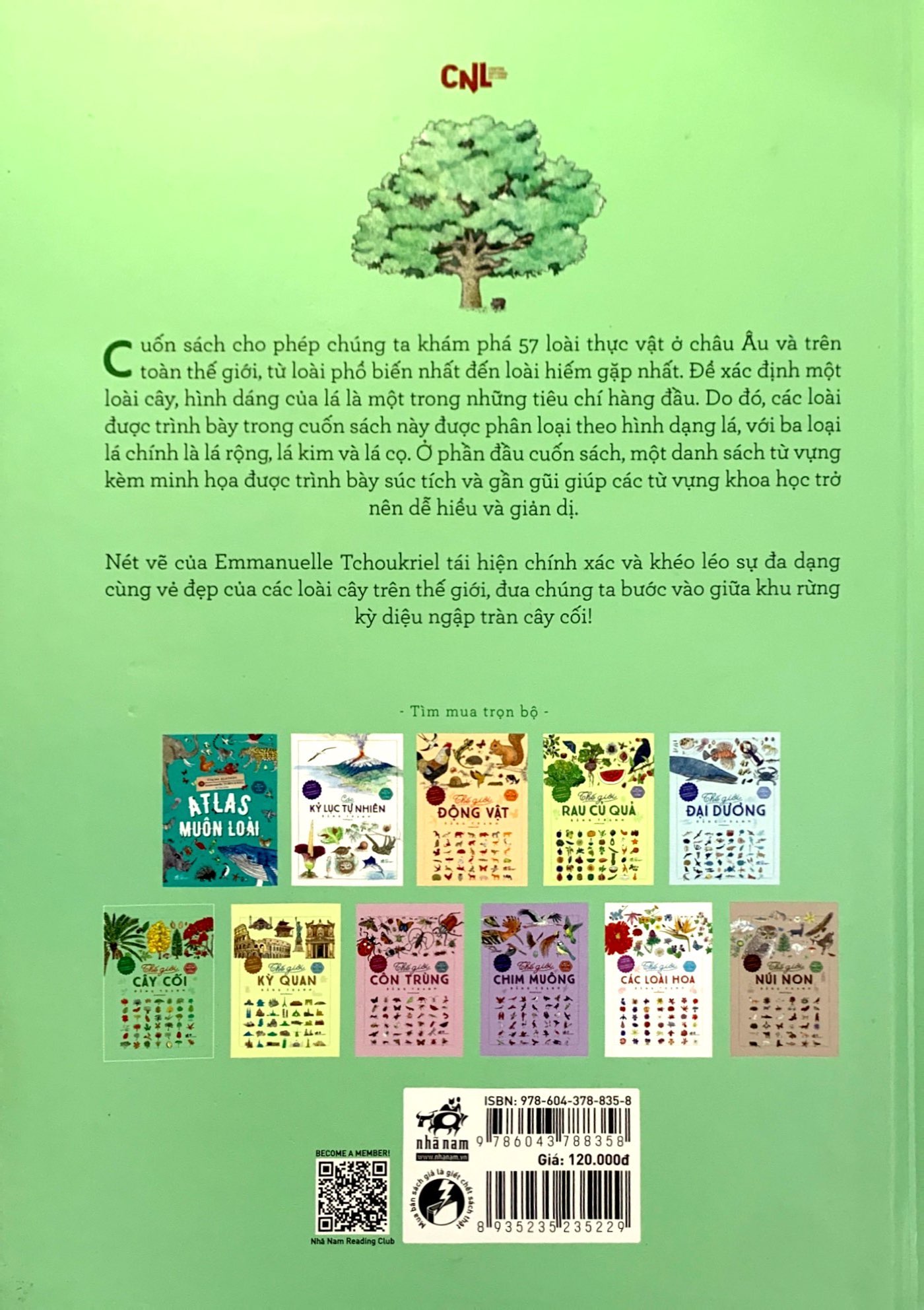 bách khoa thư cho cả nhà - thế giới cây cối bằng tranh - Ảnh 7