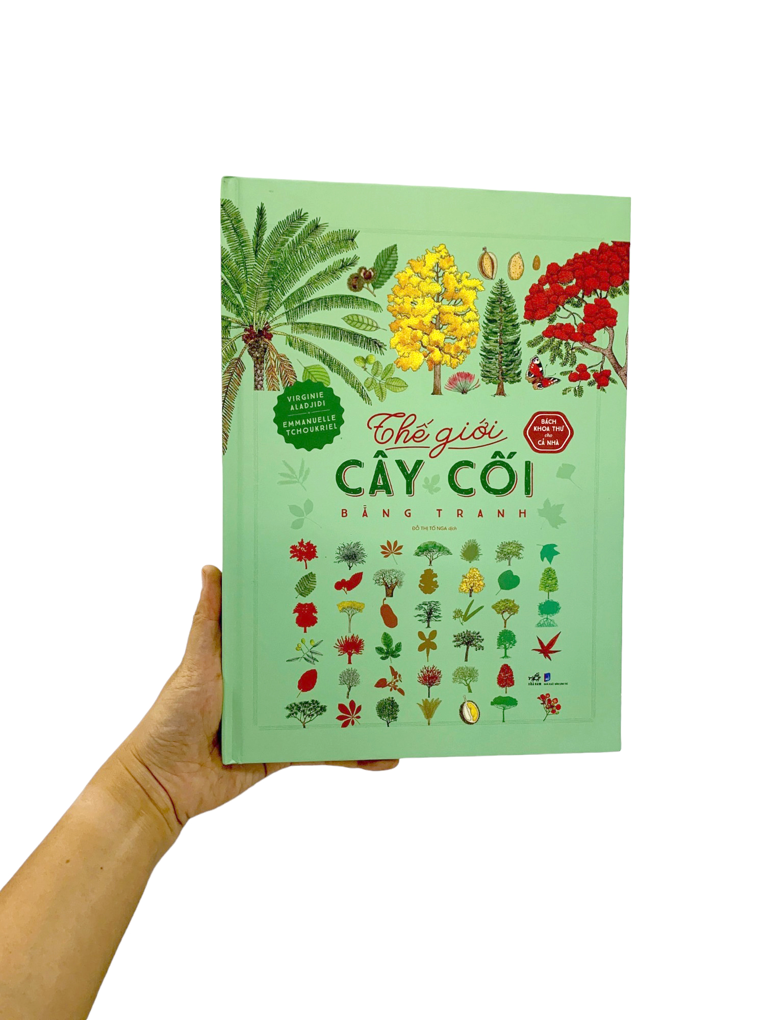 bách khoa thư cho cả nhà - thế giới cây cối bằng tranh - Ảnh 8