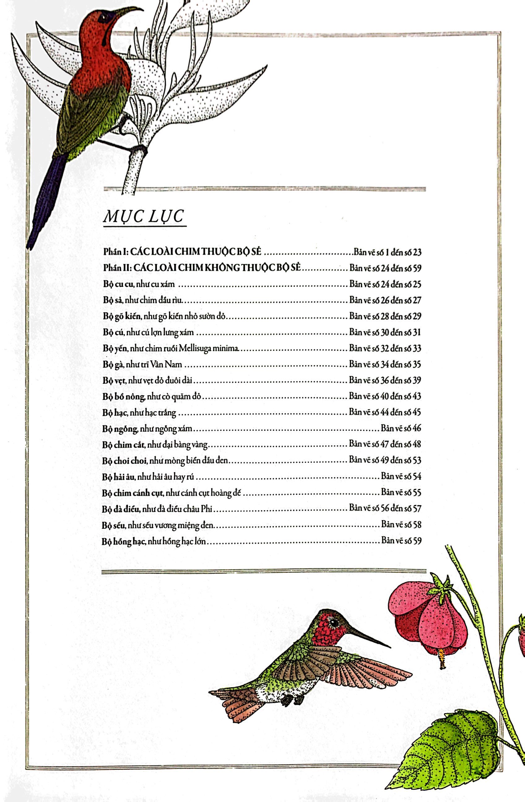 bách khoa thư cho cả nhà - thế giới chim muông bằng tranh - Ảnh 4