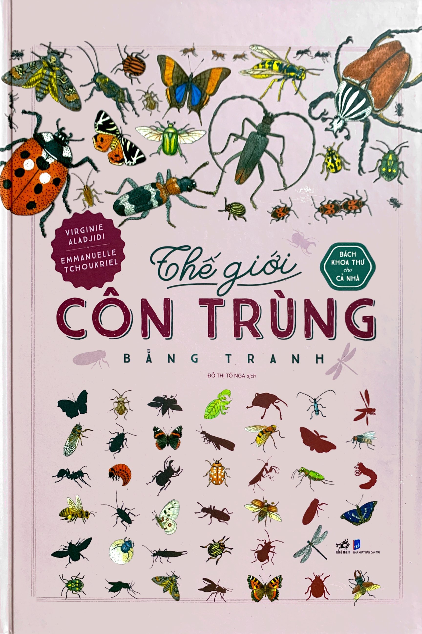bách khoa thư cho cả nhà - thế giới côn trùng bằng tranh - Ảnh 2