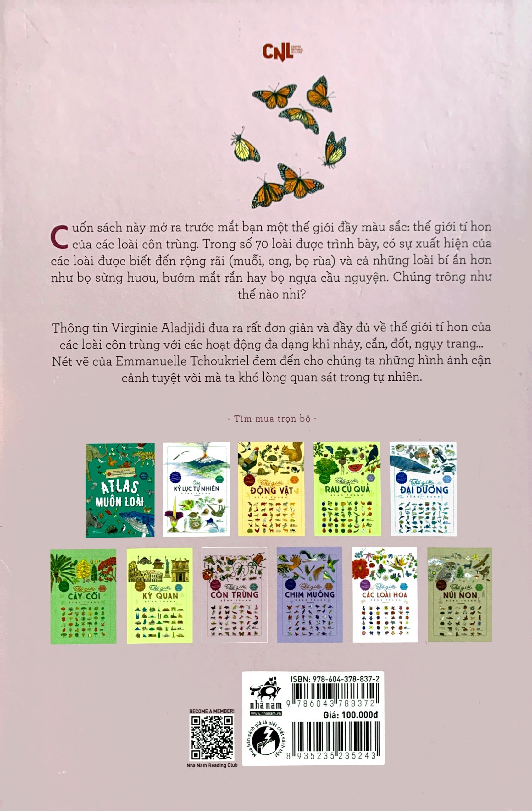 bách khoa thư cho cả nhà - thế giới côn trùng bằng tranh - Ảnh 7