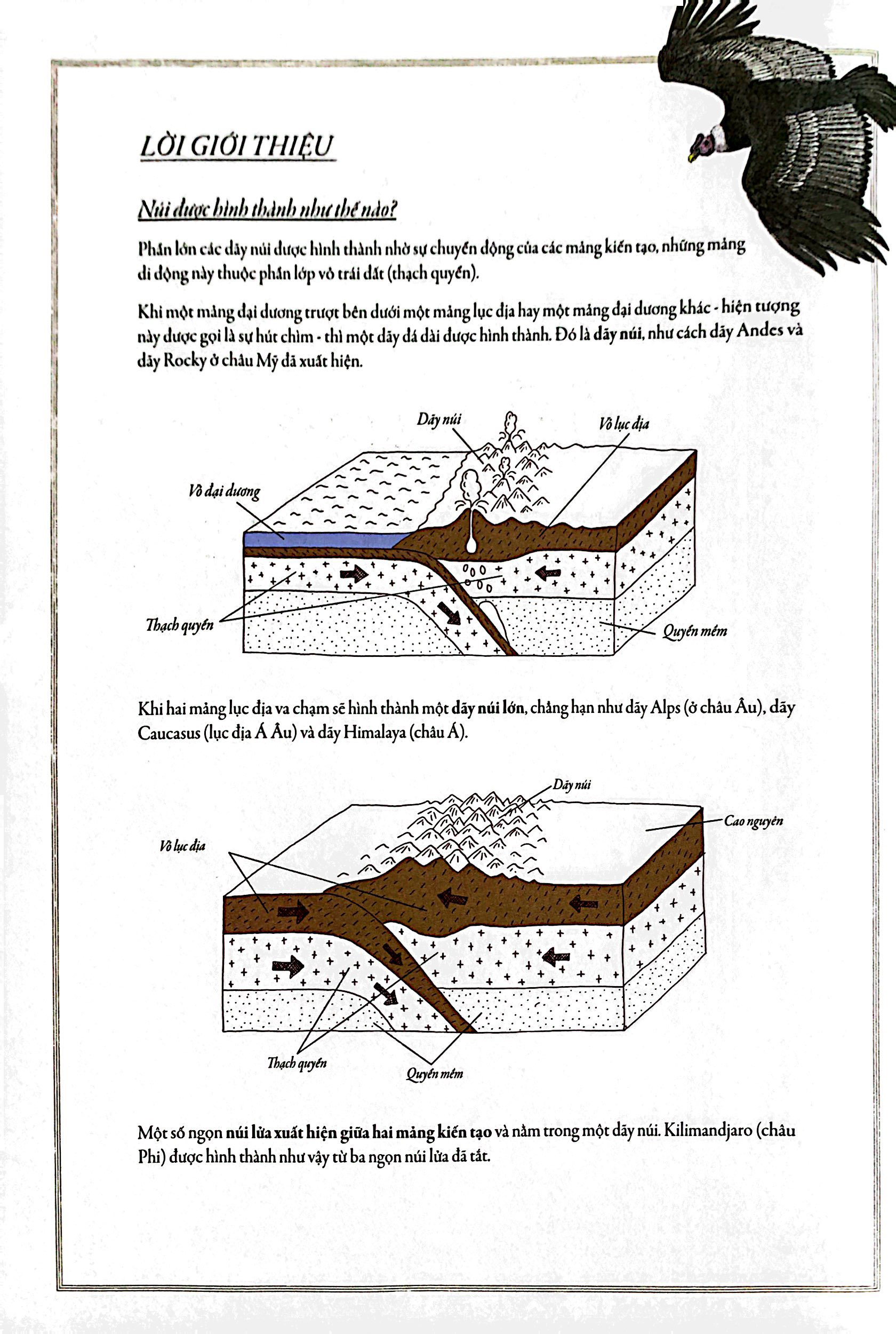 bách khoa thư cho cả nhà - thế giới núi non bằng tranh - Ảnh 3