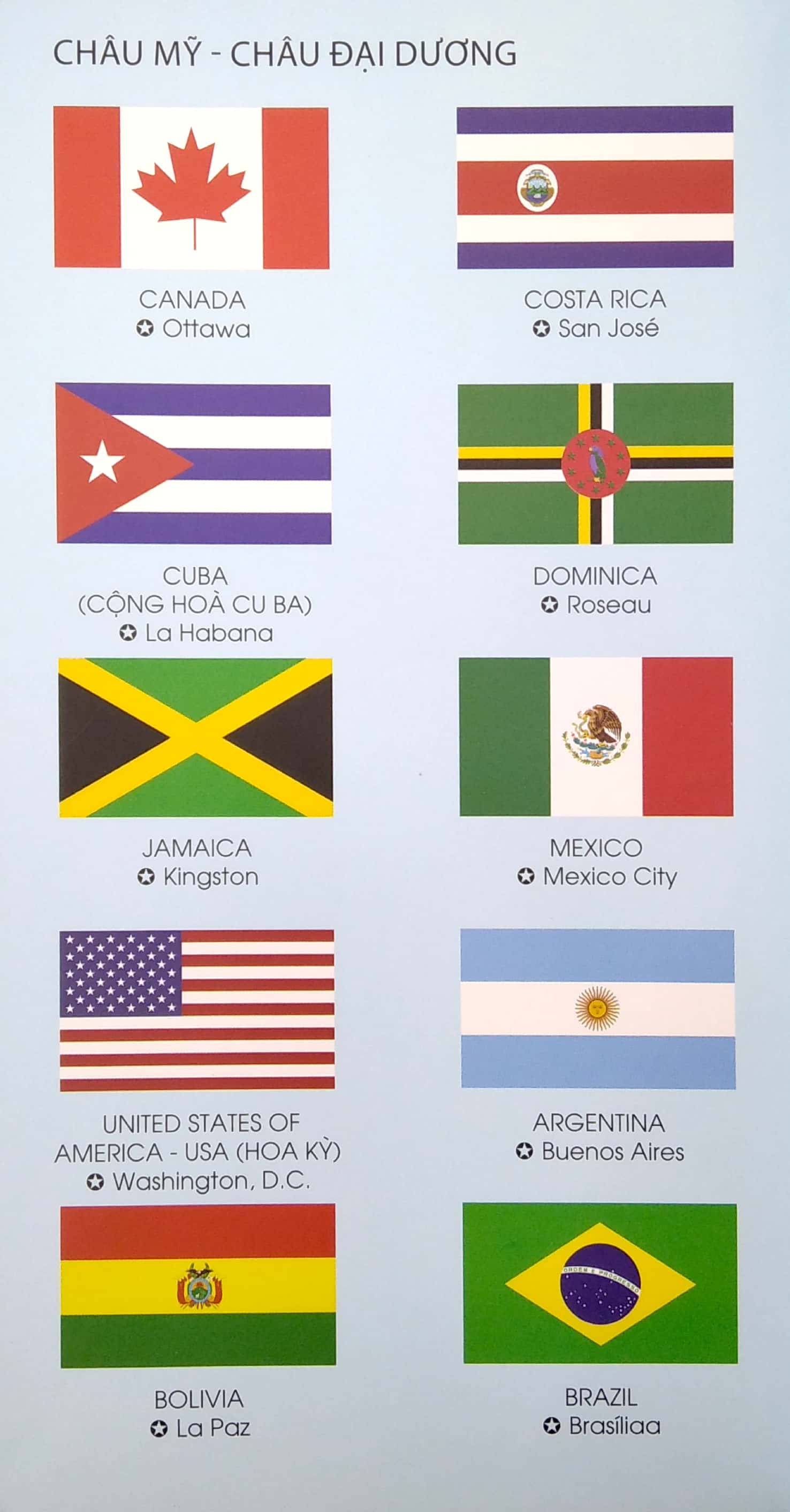 bách khoa thư đầu đời của tớ - 100 từ mới về cờ các nước - bìa cứng - Ảnh 3