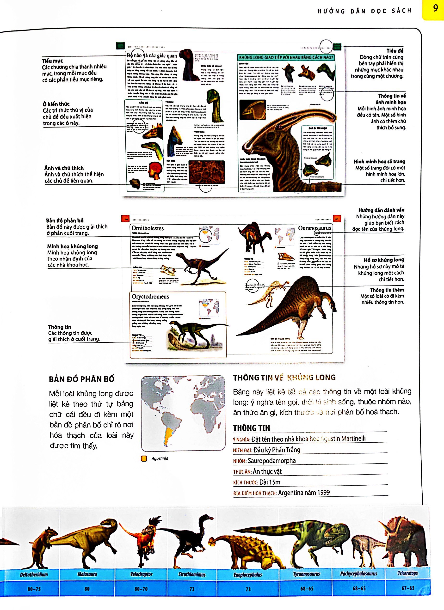 bách khoa thư khủng long dành cho thiếu nhi (tái bản 2022) - Ảnh 6