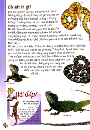 bách khoa thư kỳ diệu cho trẻ em - bò sát và lưỡng cư - Ảnh 3