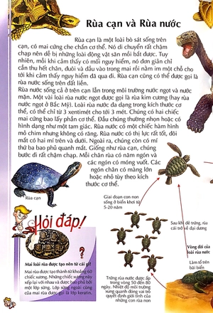 bách khoa thư kỳ diệu cho trẻ em - bò sát và lưỡng cư - Ảnh 7