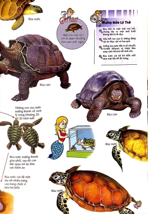 bách khoa thư kỳ diệu cho trẻ em - bò sát và lưỡng cư - Ảnh 8