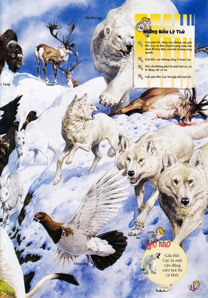 bách khoa thư kỳ diệu cho trẻ em - thế giới động vật - Ảnh 12
