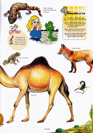 bách khoa thư kỳ diệu cho trẻ em - thế giới động vật - Ảnh 8