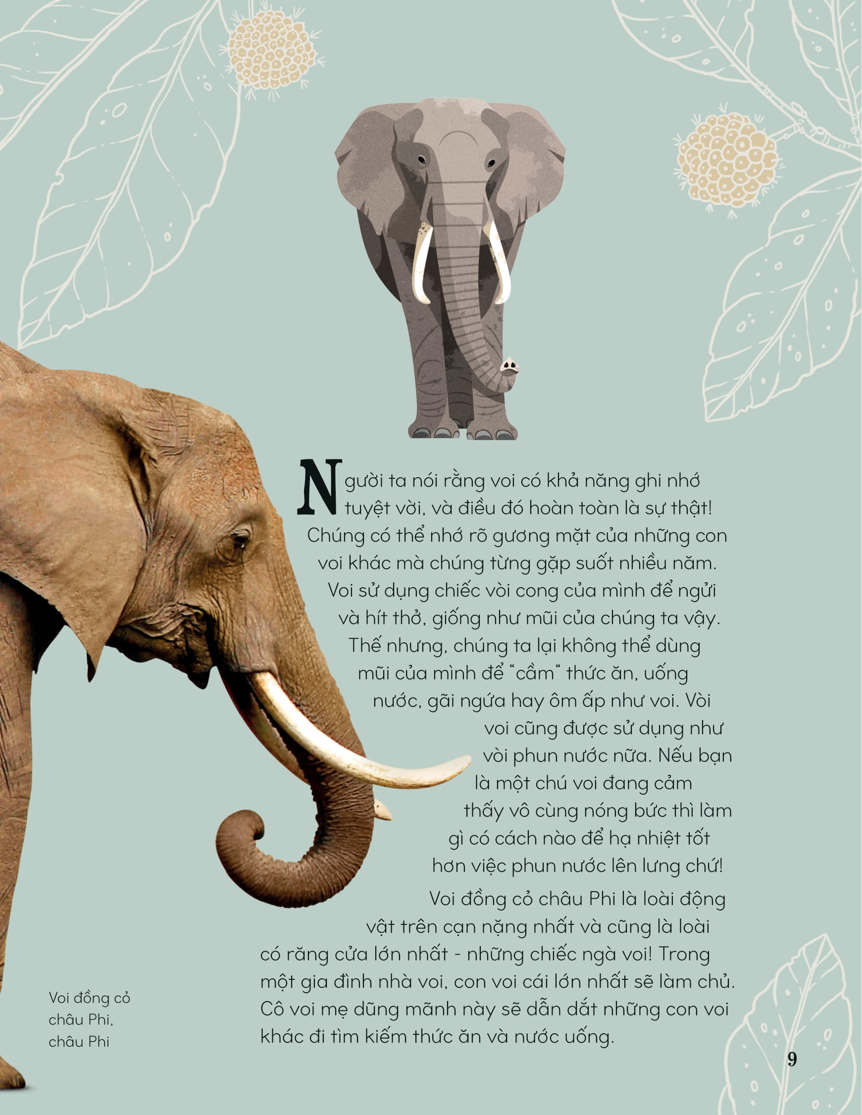 bách khoa thư kỳ thú về động vật - bìa cứng - Ảnh 10