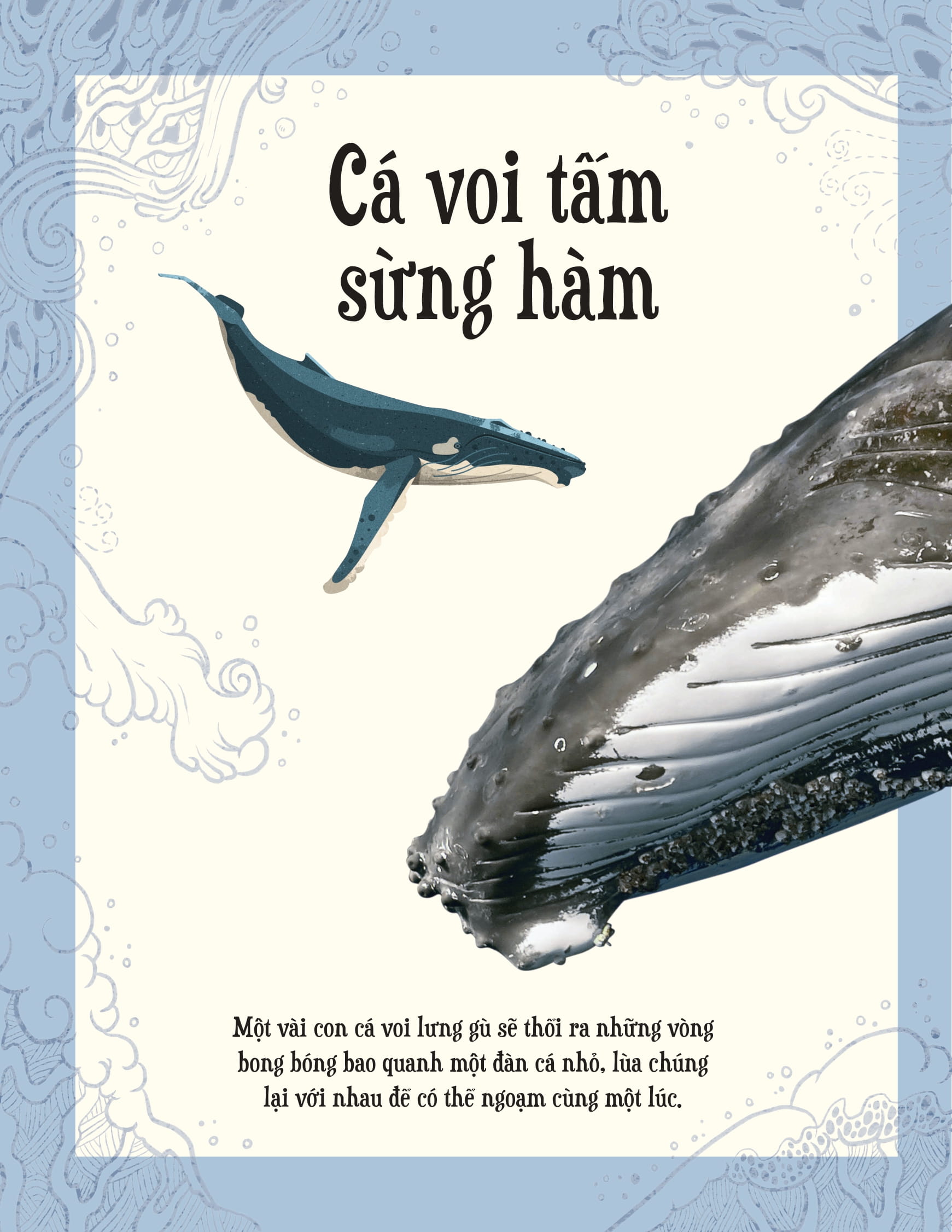 bách khoa thư kỳ thú về động vật - bìa cứng - Ảnh 5
