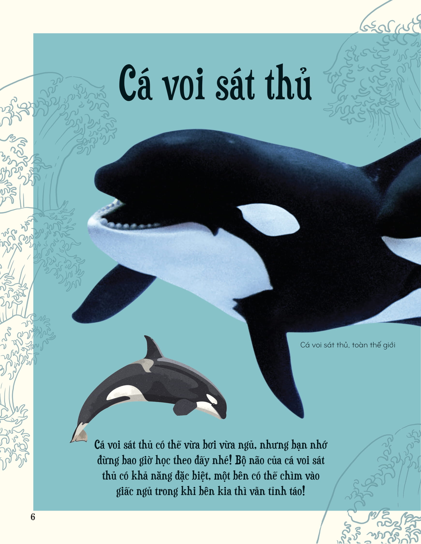 bách khoa thư kỳ thú về động vật - bìa cứng - Ảnh 7