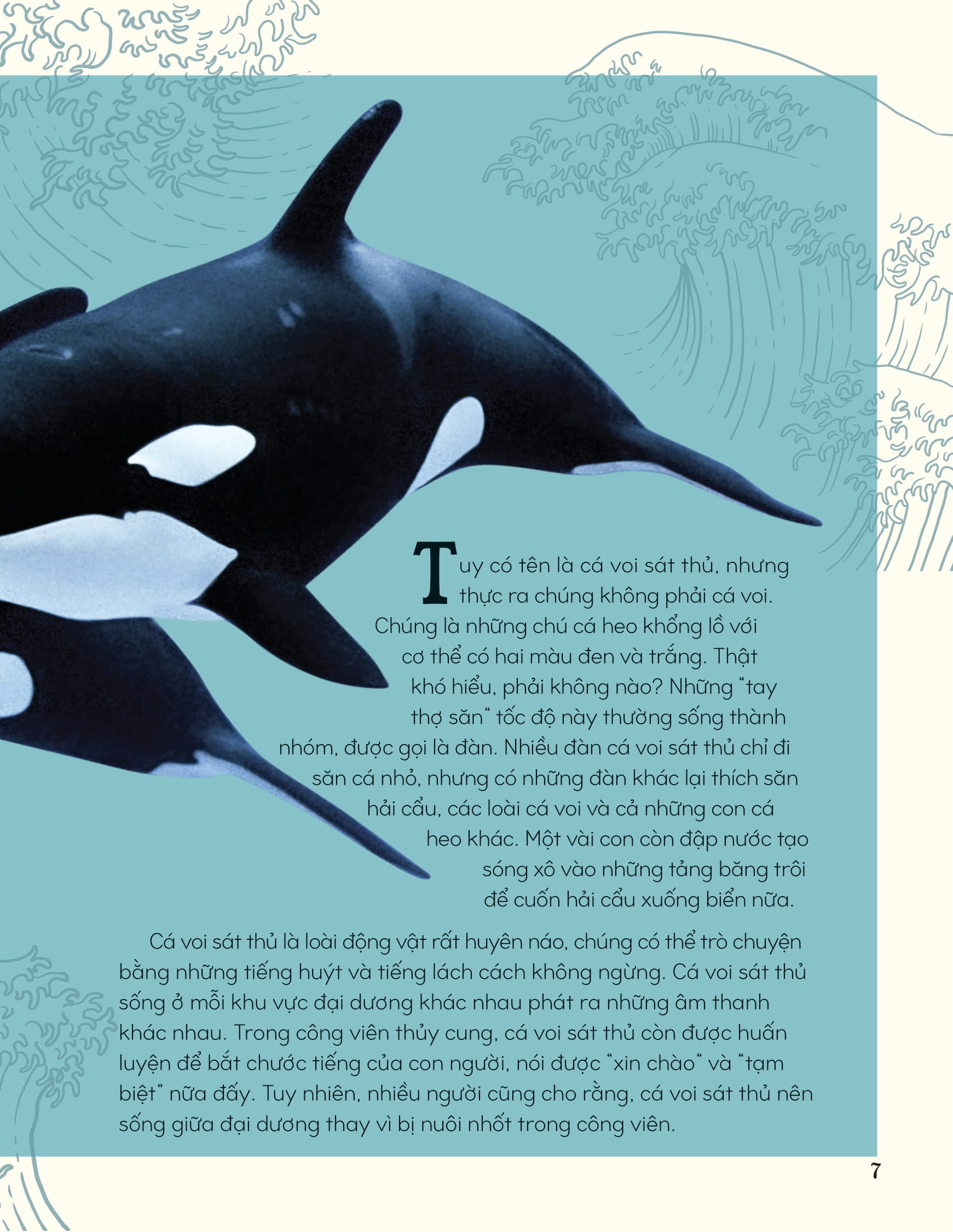 bách khoa thư kỳ thú về động vật - bìa cứng - Ảnh 8