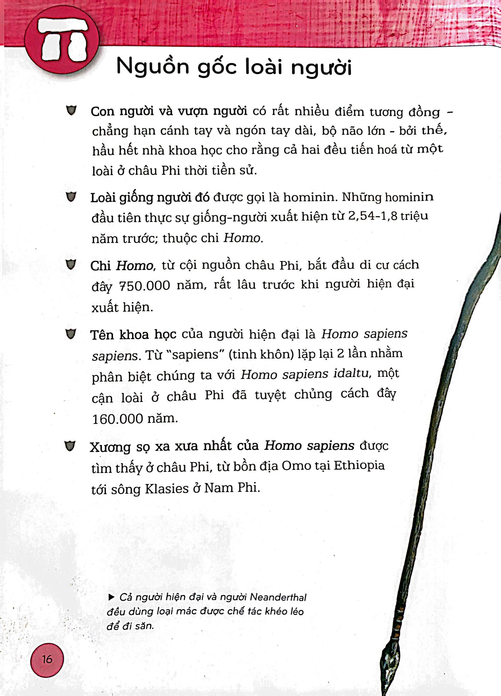 bách khoa thư lịch sử - từ tiền sử đến thời đại - bìa cứng (tái bản) - Ảnh 5