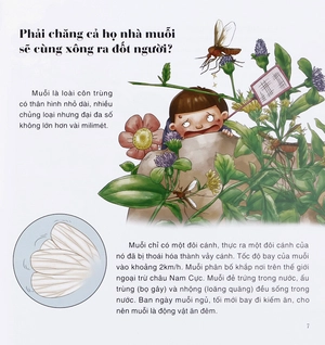 bách khoa thư thế giới tự nhiên - bí mật của côn trùng - Ảnh 10