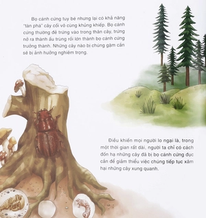 bách khoa thư thế giới tự nhiên - bí mật của côn trùng - Ảnh 7