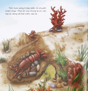 bách khoa thư thế giới tự nhiên - chuyên gia đào hang - Ảnh 6