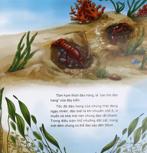 bách khoa thư thế giới tự nhiên - chuyên gia đào hang - Ảnh 7