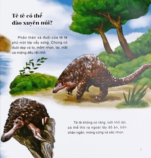 bách khoa thư thế giới tự nhiên - chuyên gia đào hang - Ảnh 9