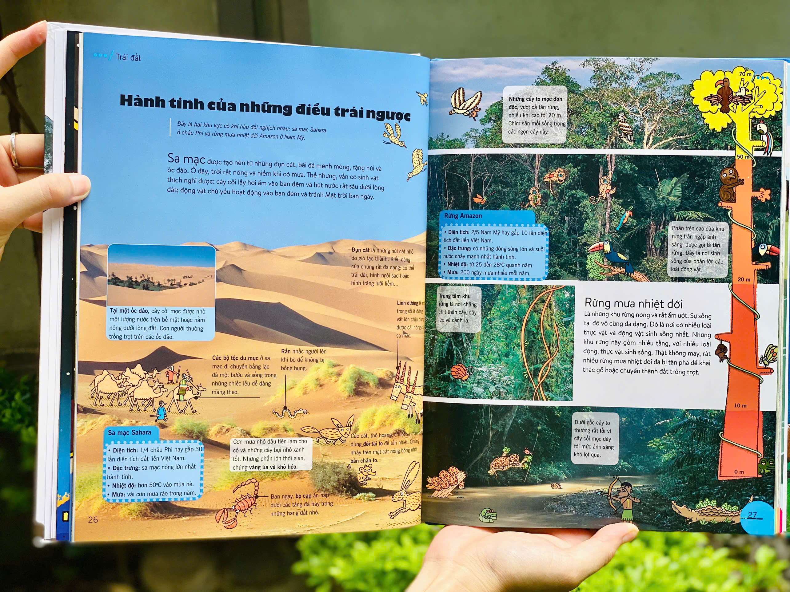 Bách Khoa Thư Thế Hệ Mới (Bìa Cứng) - Ảnh 10