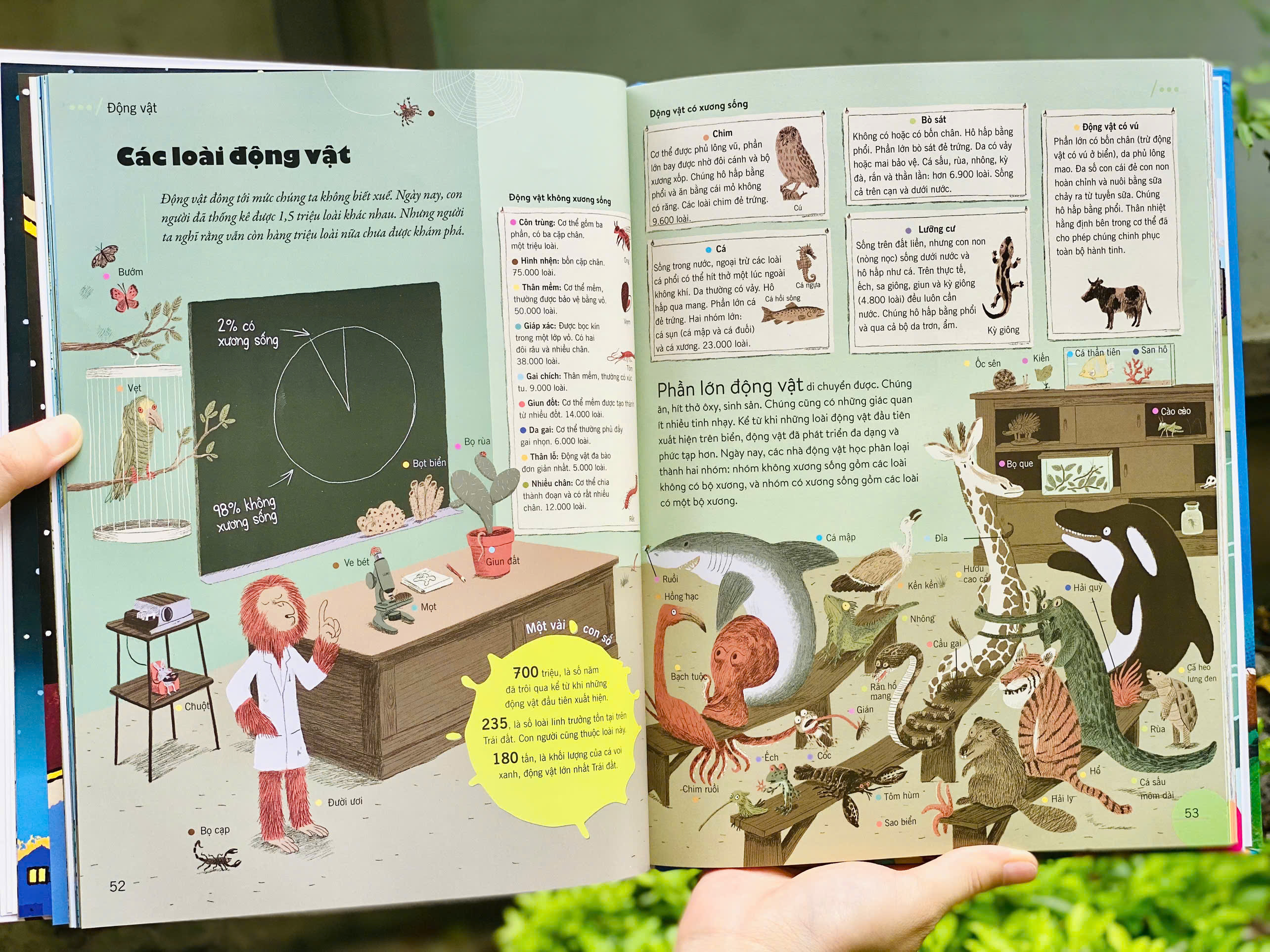 Bách Khoa Thư Thế Hệ Mới (Bìa Cứng) - Ảnh 4