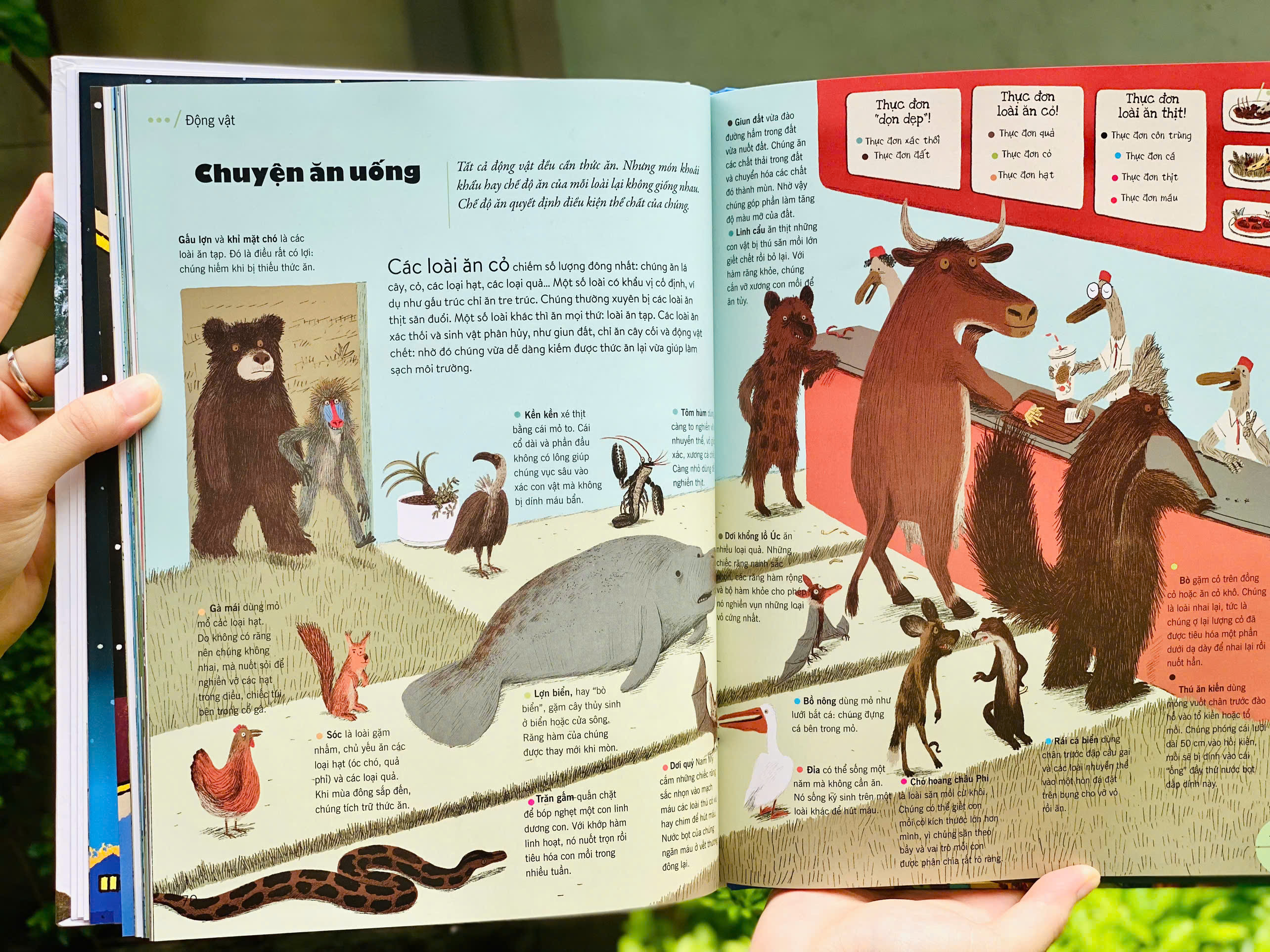 Bách Khoa Thư Thế Hệ Mới (Bìa Cứng) - Ảnh 5