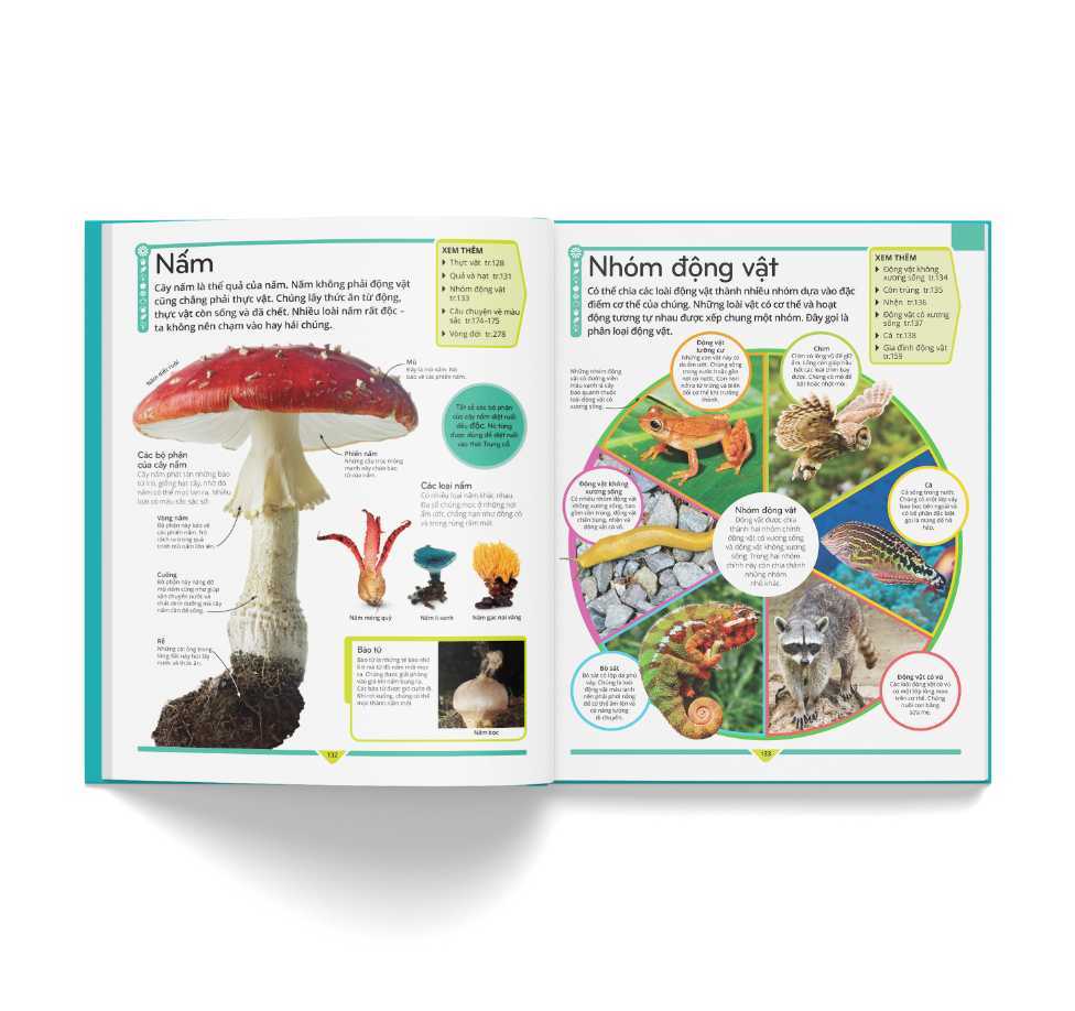 bách khoa thư trẻ em - cuốn sách lí giải vạn vật - Ảnh 8
