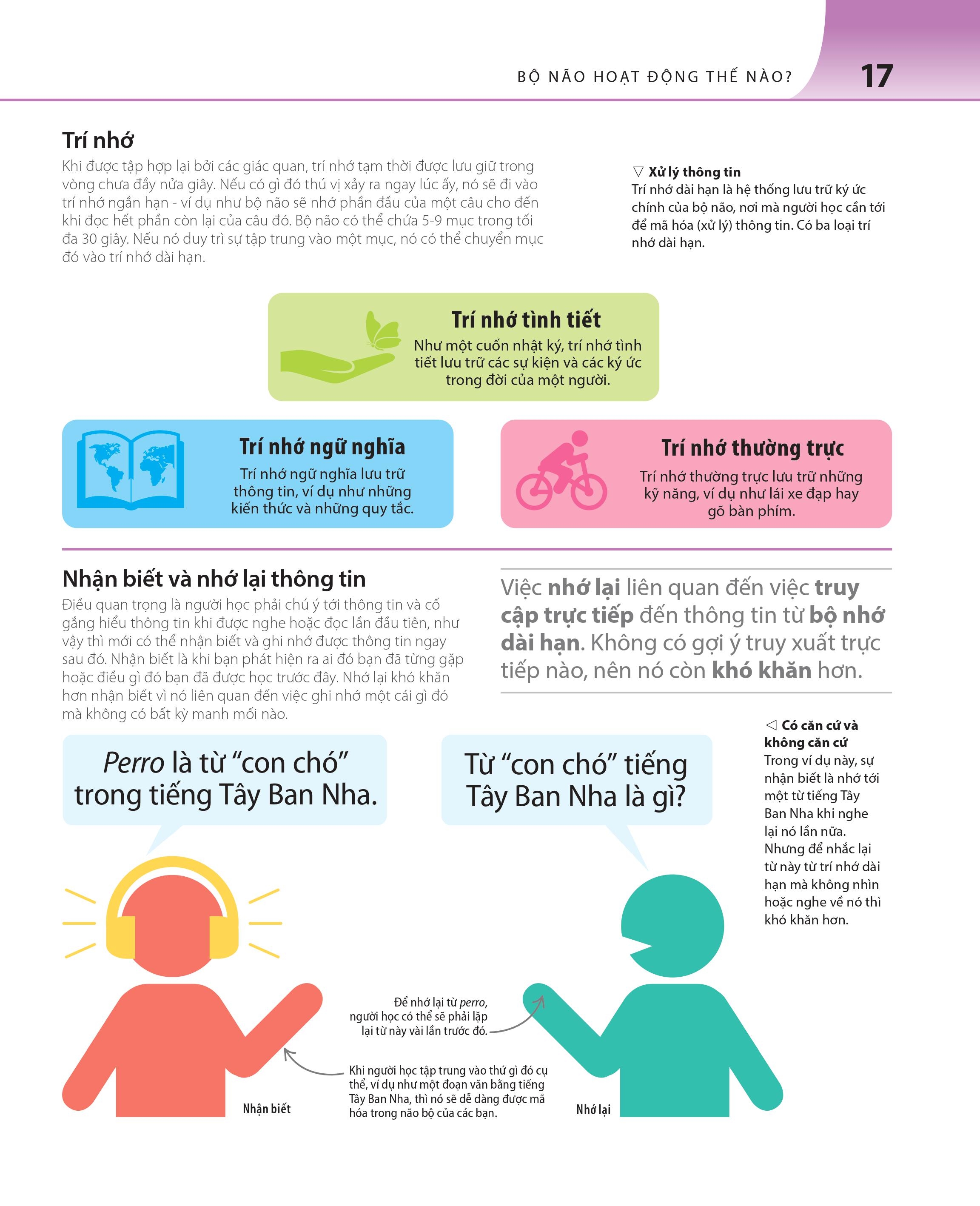 bách khoa thư về phát triển kỹ năng - học tập - Ảnh 11