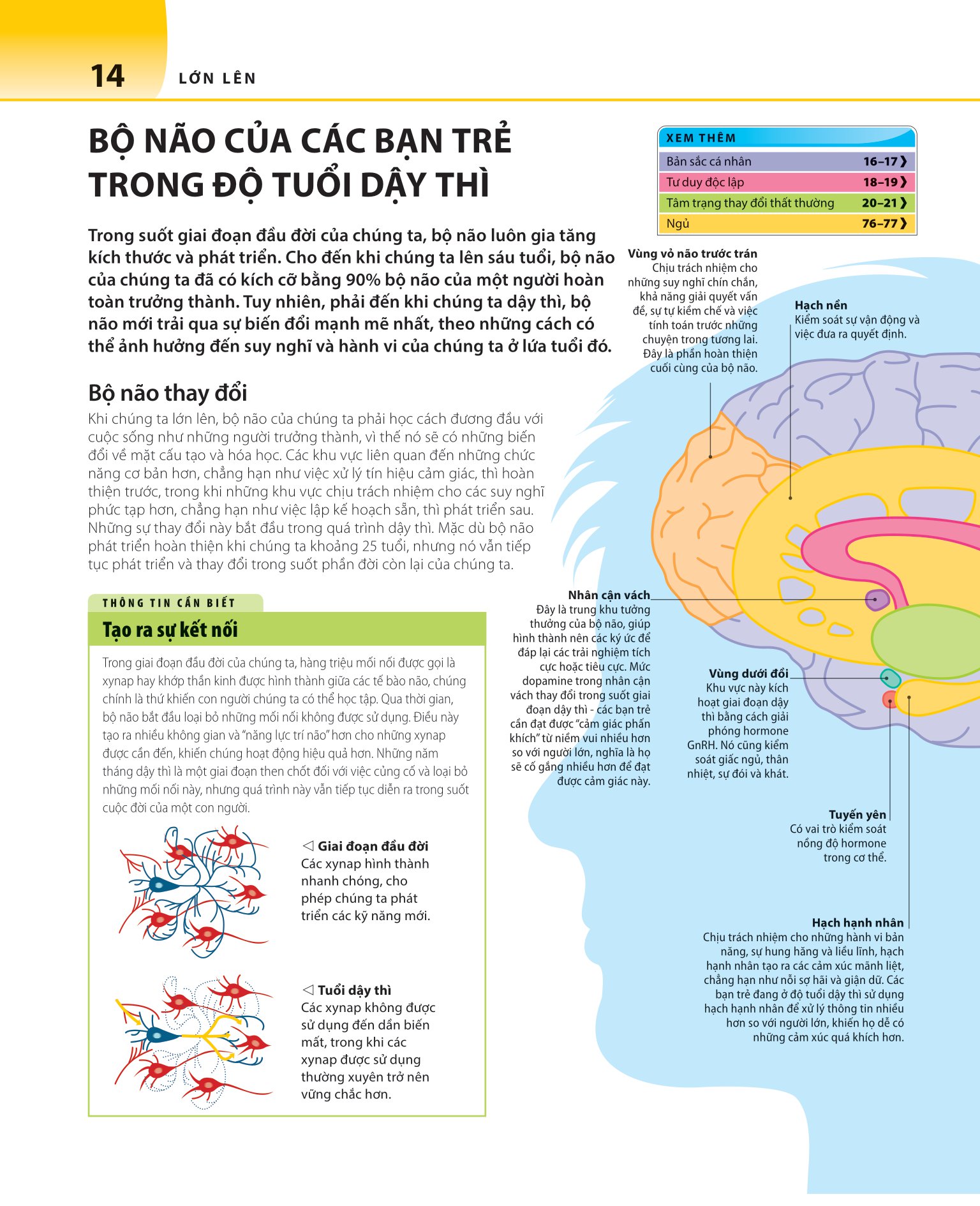 bách khoa thư về phát triển kỹ năng - tuổi dậy thì - Ảnh 15