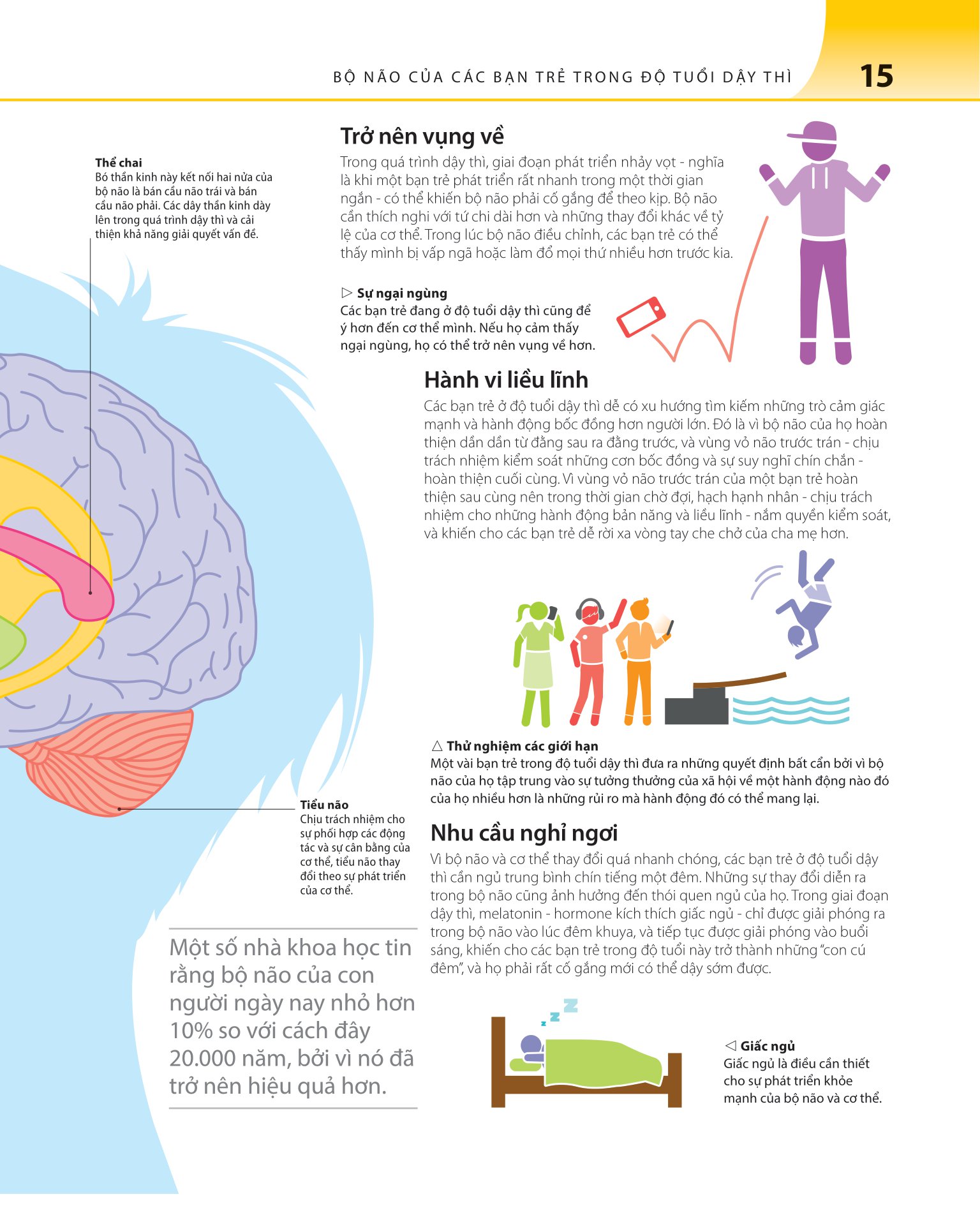 bách khoa thư về phát triển kỹ năng - tuổi dậy thì - Ảnh 16