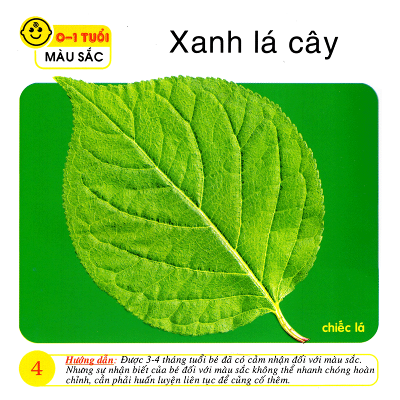 bách khoa toàn thư cho bé - 00 - 01 tuổi (bộ 8 cuốn) - Ảnh 6