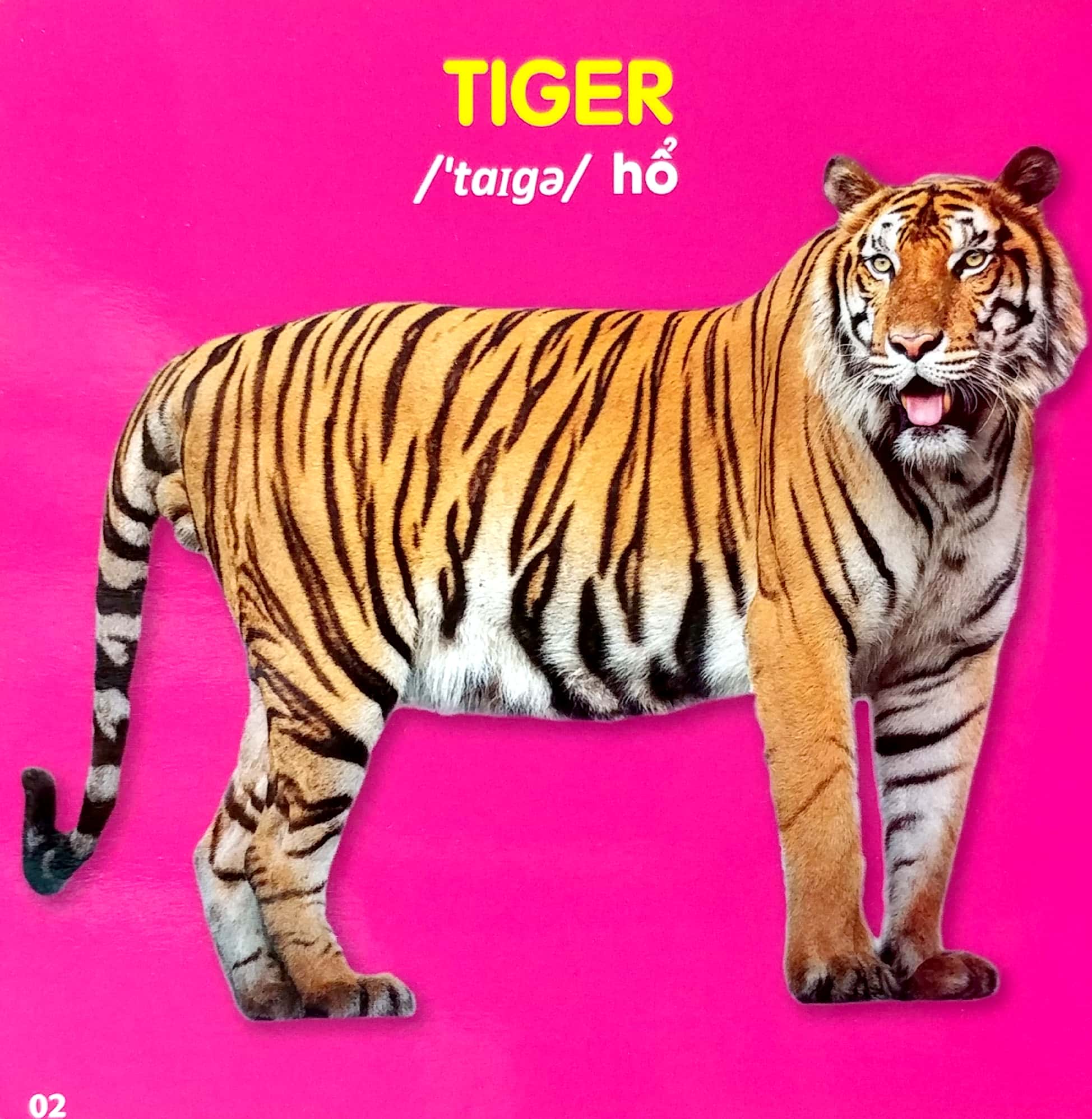 bách khoa toàn thư cho bé - động vật hoang dã - Ảnh 3