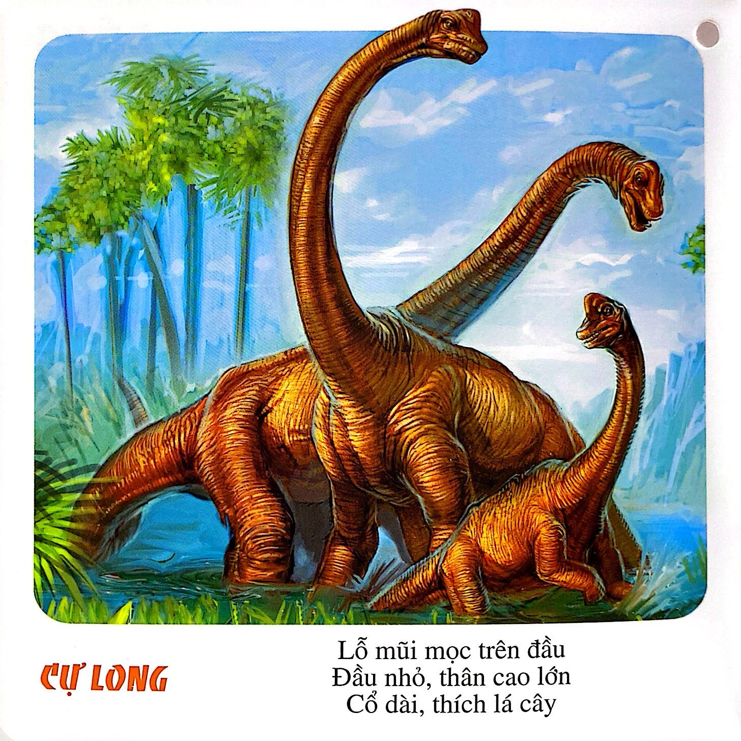 bách khoa toàn thư cho bé - động vật, loài cá - Ảnh 12