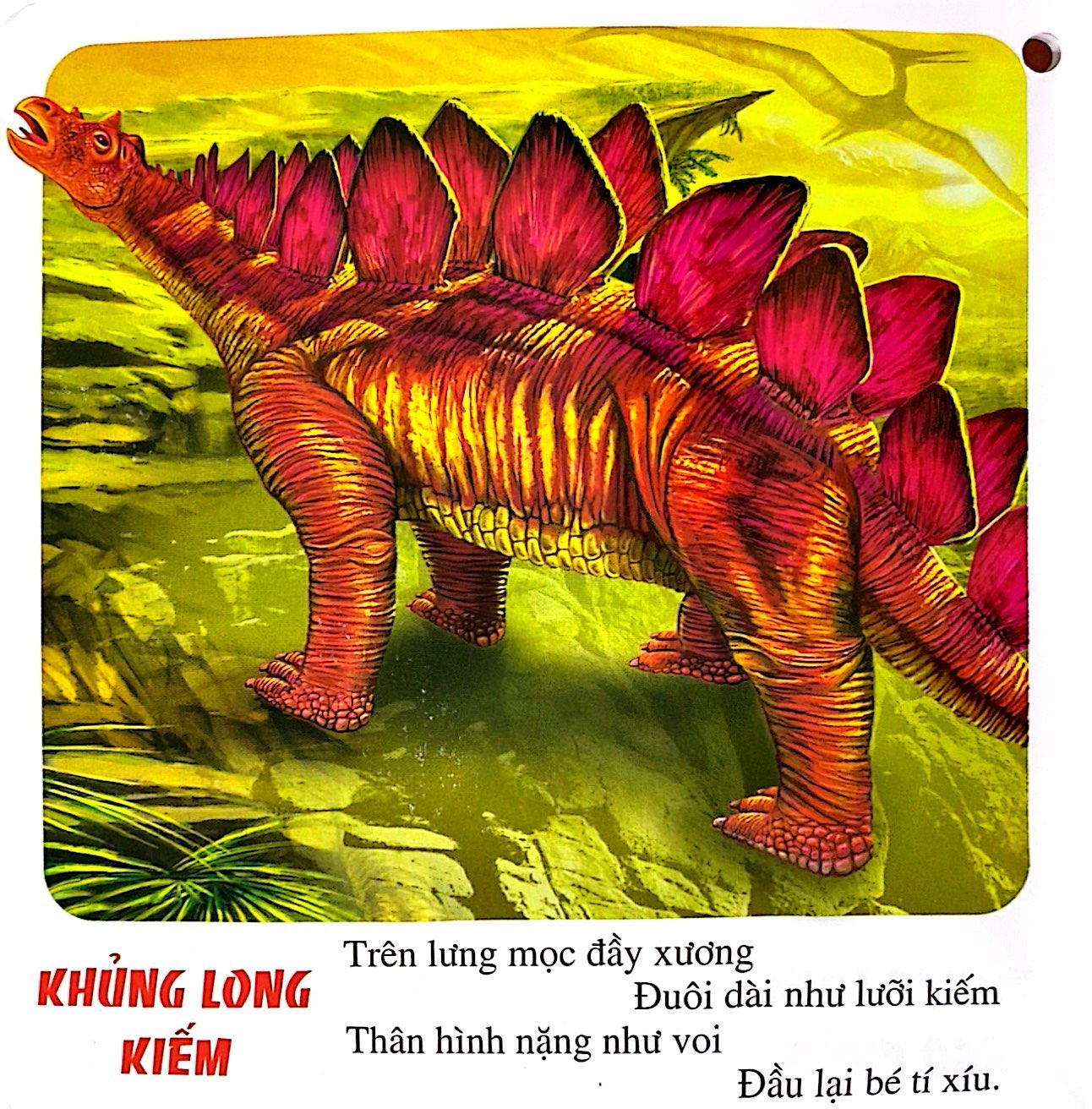 bách khoa toàn thư cho bé - động vật, loài cá - Ảnh 14