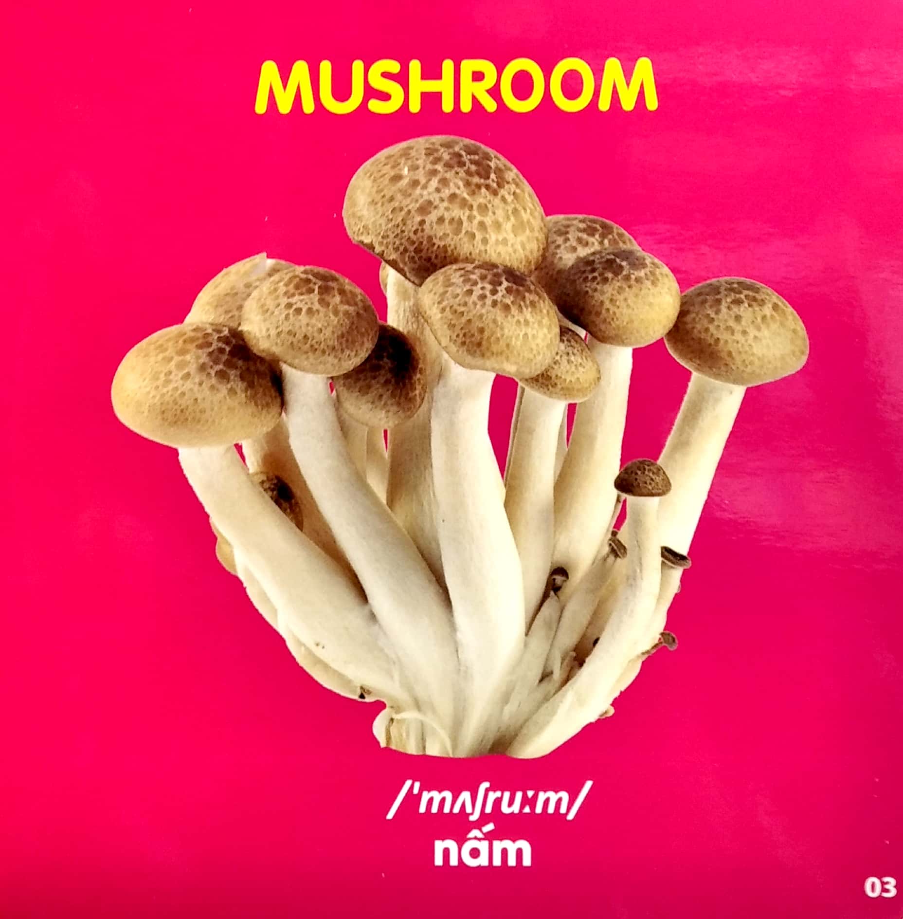 bách khoa toàn thư cho bé - rau, củ, quả - Ảnh 4