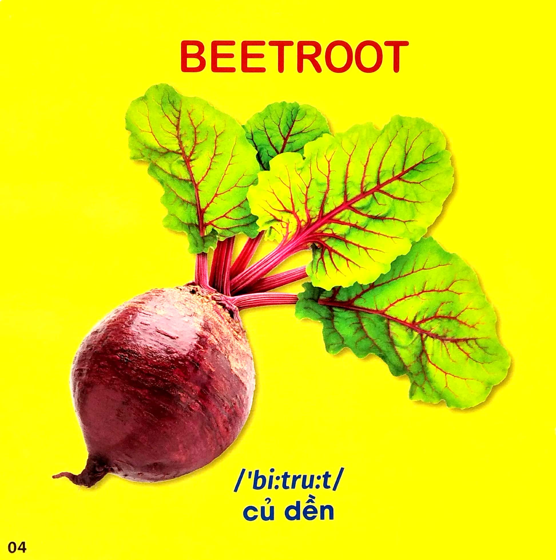 bách khoa toàn thư cho bé - rau, củ, quả - Ảnh 5