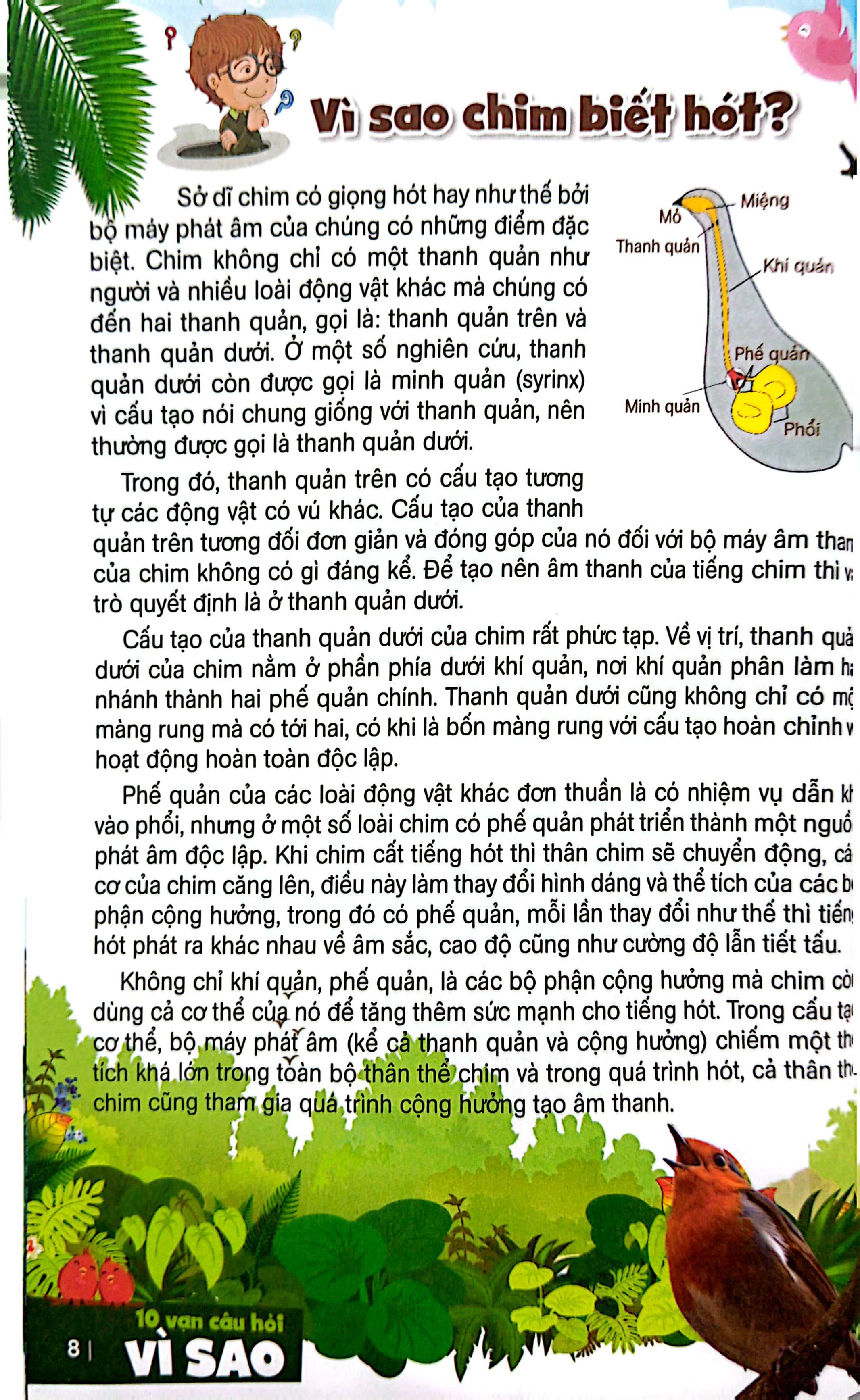 bách khoa toàn thư dành cho trẻ em - 10 vạn câu hỏi vì sao - bí ẩn về loài chim, động vật dưới biển và đại dương (tái bản 2024) - Ảnh 5