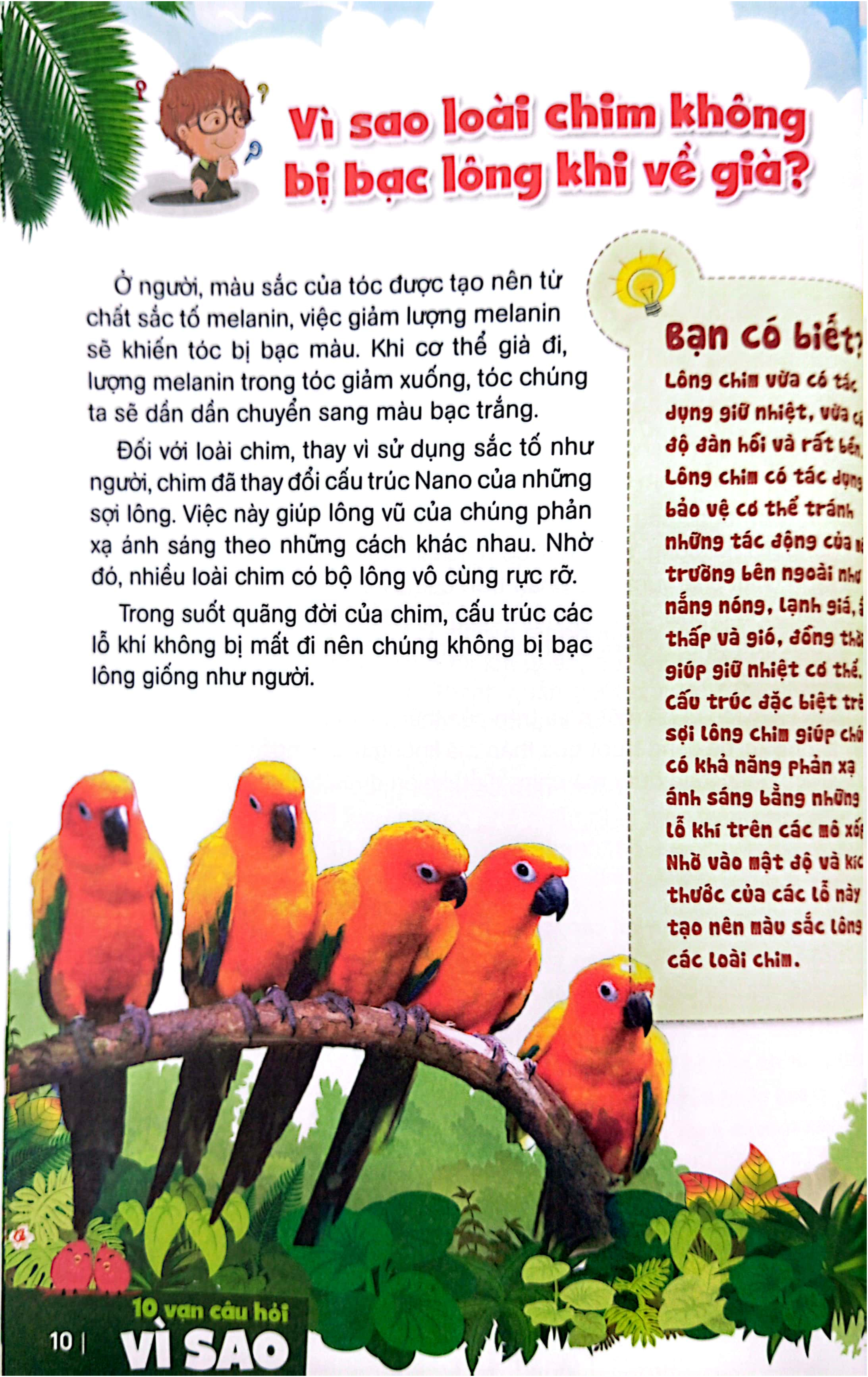 bách khoa toàn thư dành cho trẻ em - 10 vạn câu hỏi vì sao - bí ẩn về loài chim, động vật dưới biển và đại dương (tái bản 2024) - Ảnh 7