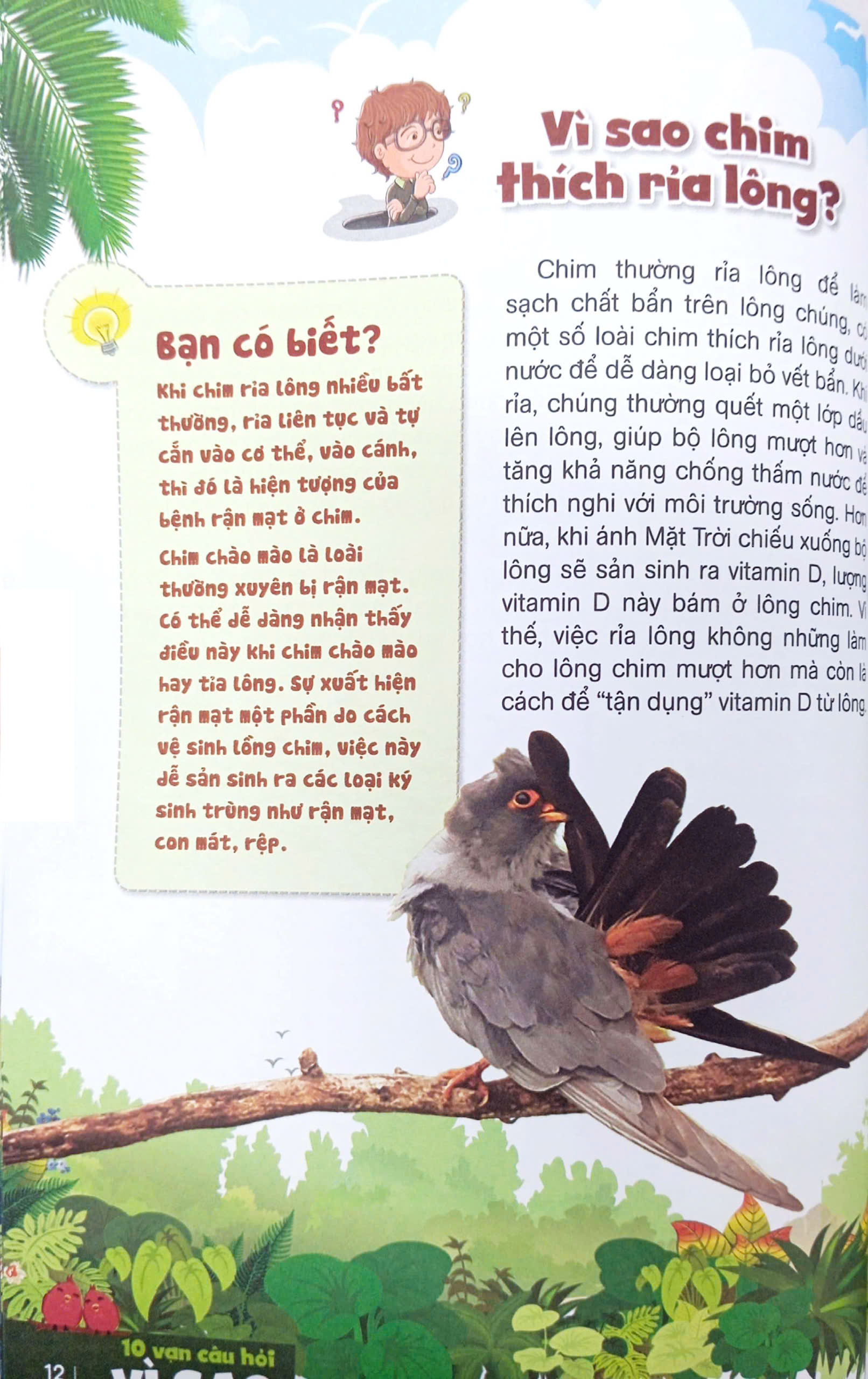 bách khoa toàn thư dành cho trẻ em - 10 vạn câu hỏi vì sao - bí ẩn về loài chim, động vật dưới biển và đại dương (tái bản 2024) - Ảnh 8