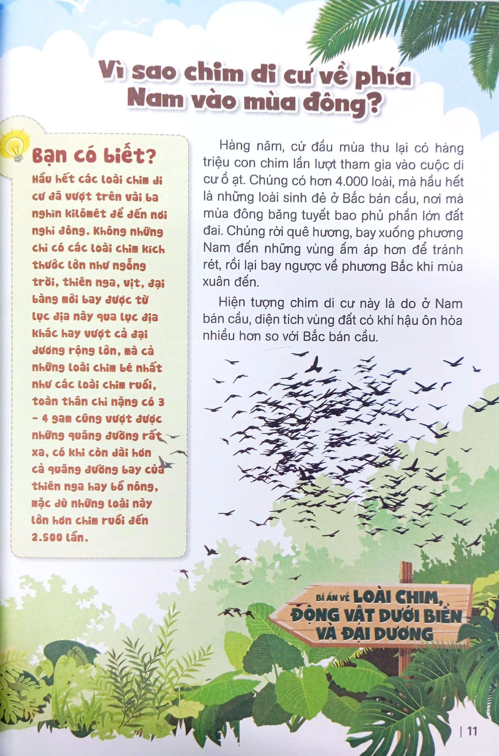 bách khoa toàn thư dành cho trẻ em - 10 vạn câu hỏi vì sao - bí ẩn về loài chim, động vật dưới biển và đại dương (tái bản 2024) - Ảnh 9